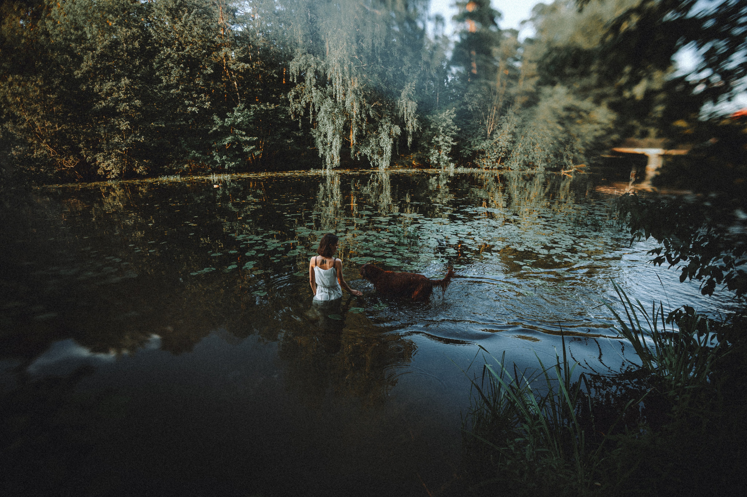 Маша и Джерри