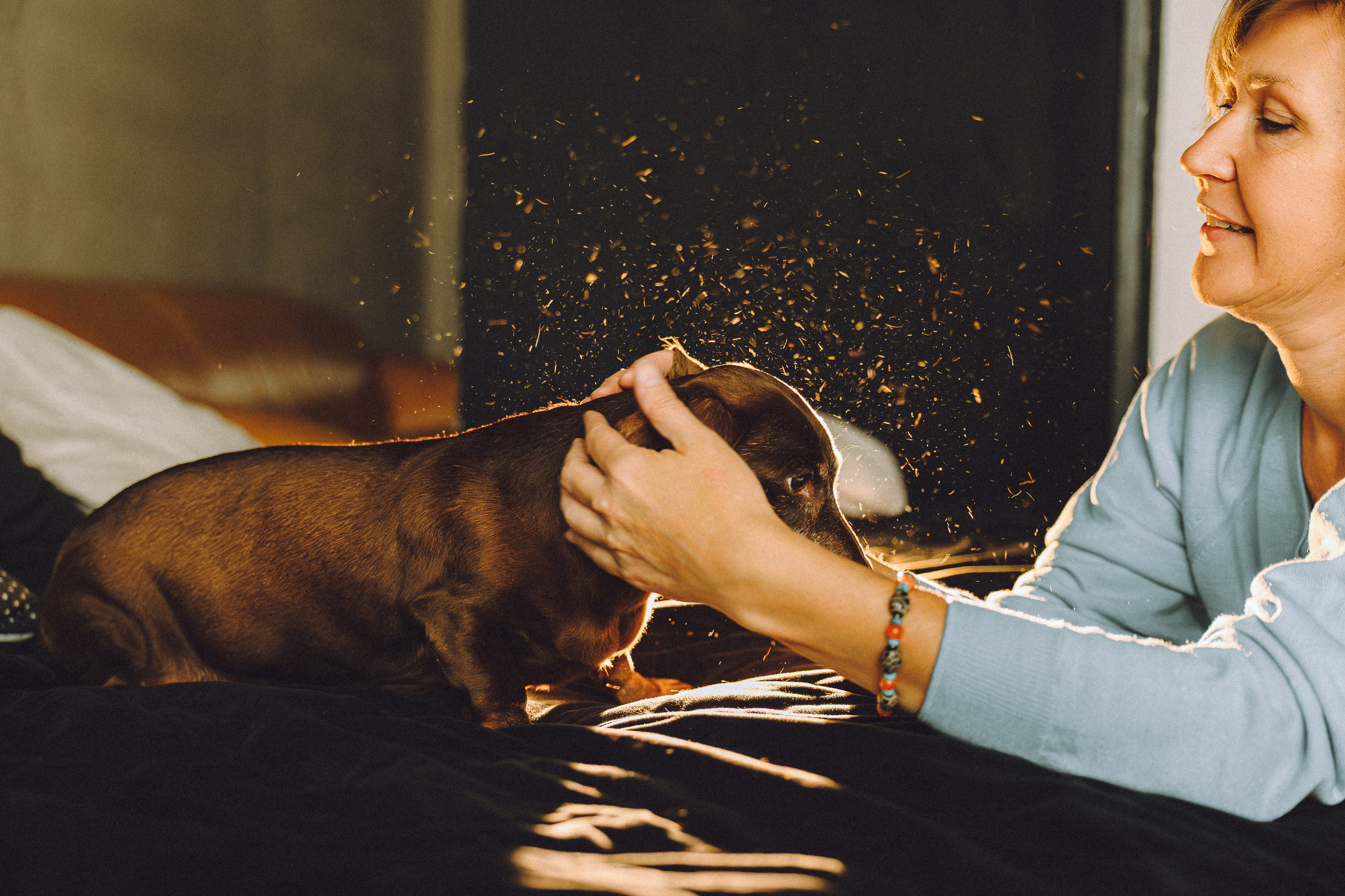 Кокос, Света, Динара и Вилли