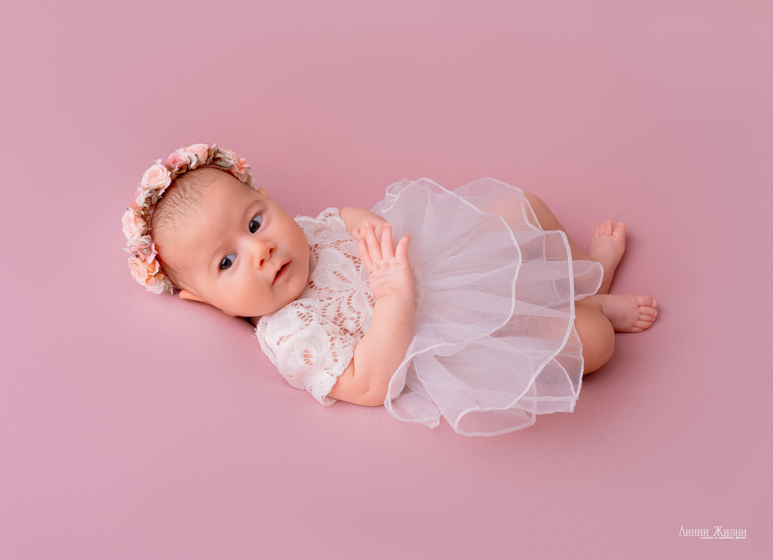 Фотосессии новорожденных студия Линии Жизни. Фотограф новорожденных в Нижнем Новгороде Сергеева Оксана