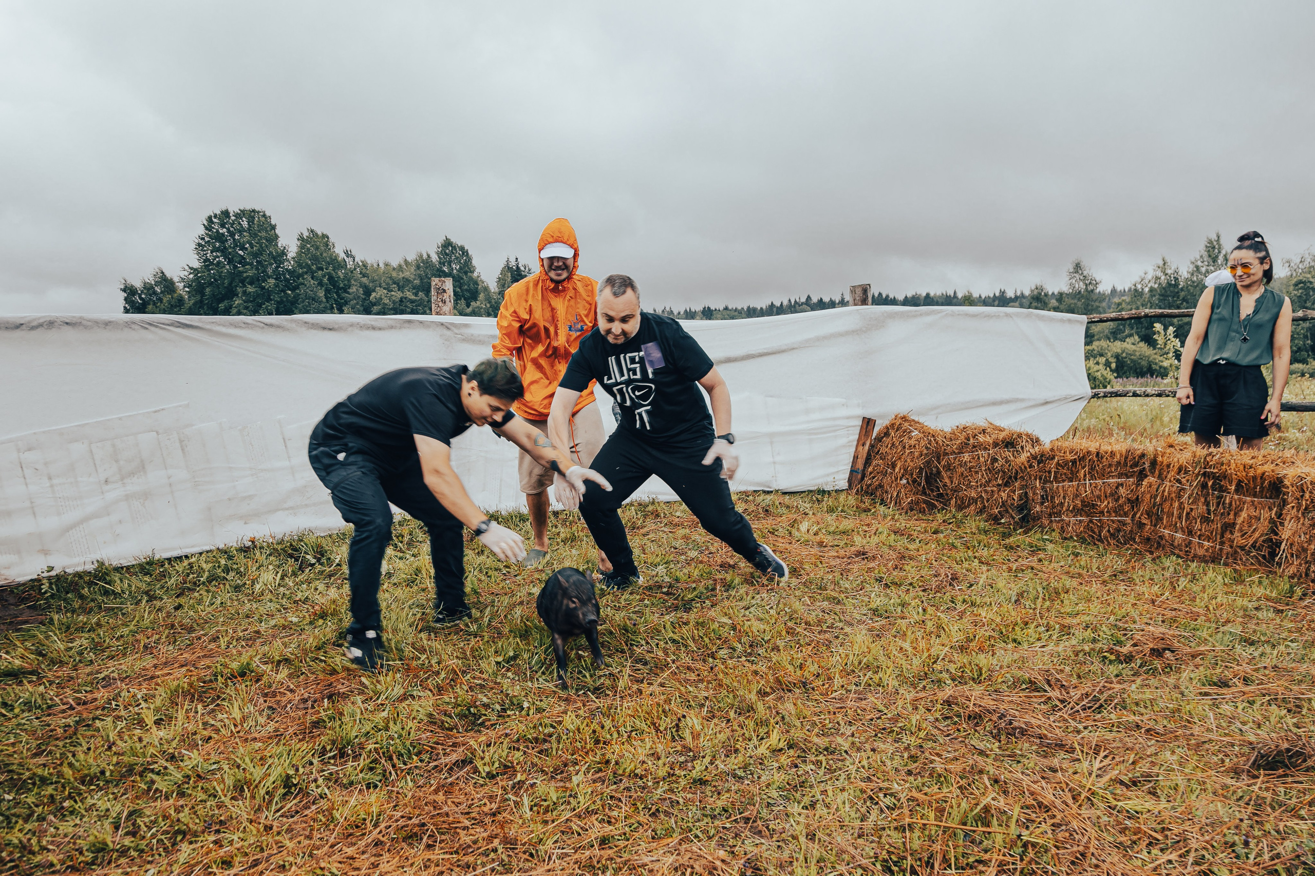 КОРПОРАТИВ ЛЕТНИЙ. Главная