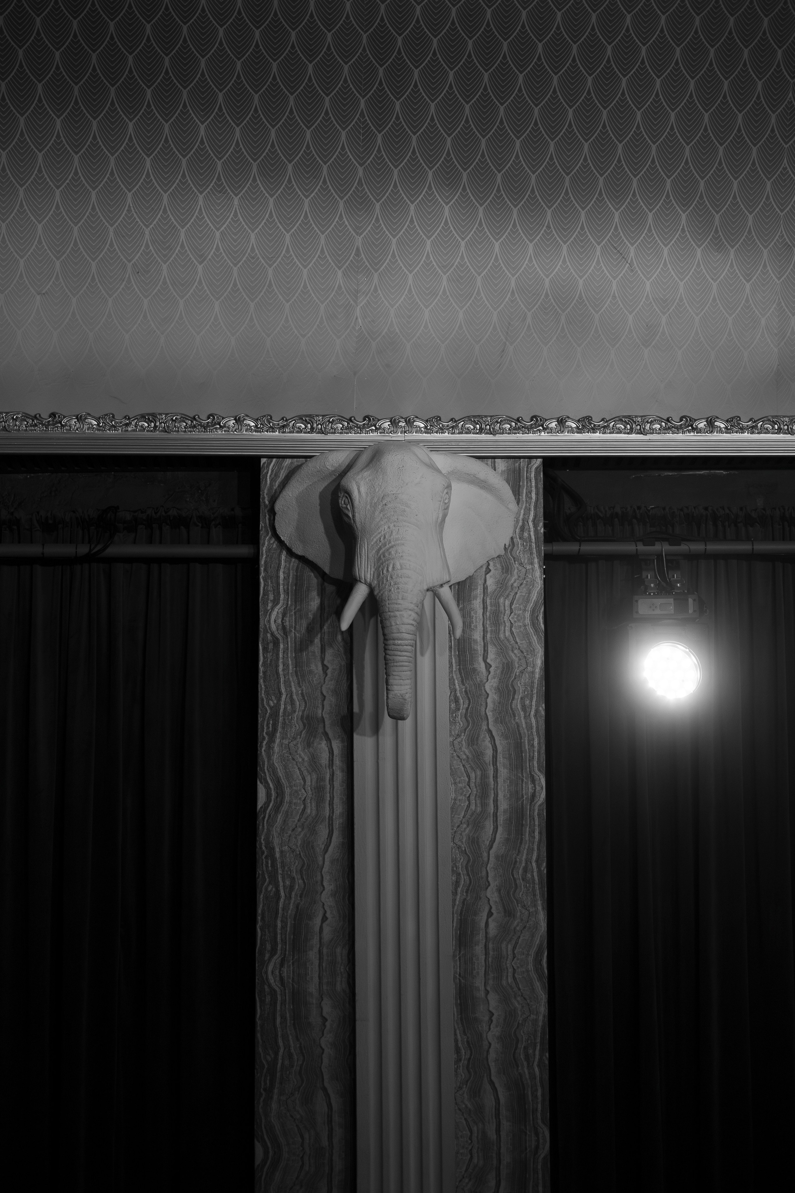 Портфолио репортаж. Репортжаный и свадебный фотограф Москва, Влада Азарова