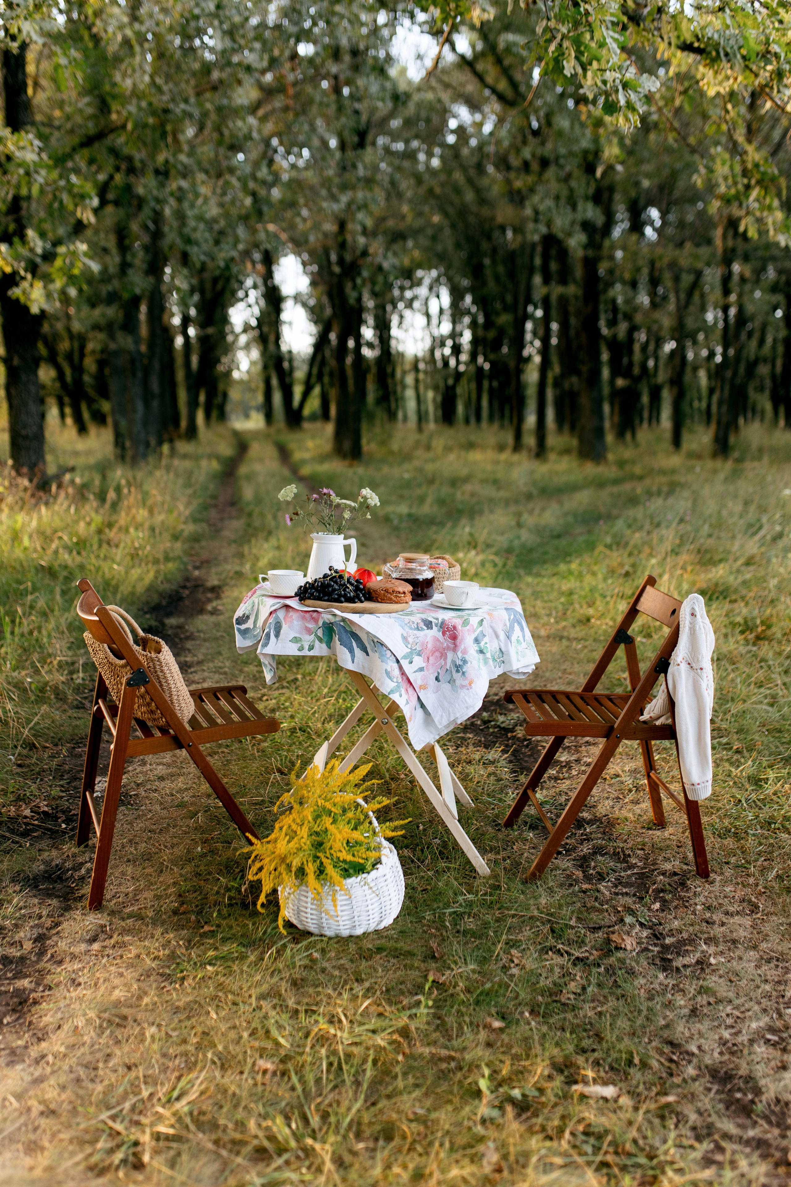 Лесной пикник. Свадебный и семейный фотограф в Туле и области Маша Костина