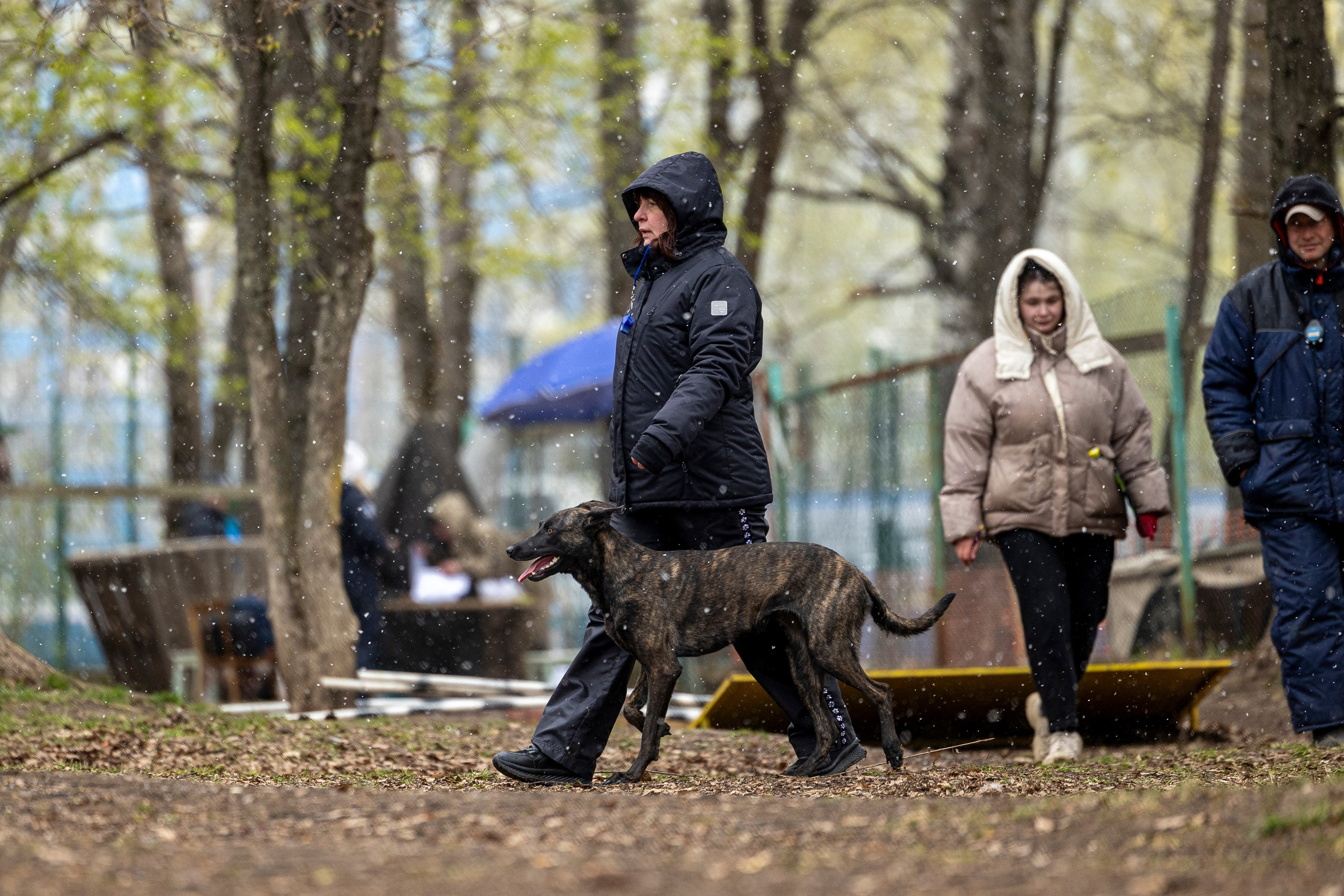 Квалификационные состязания по мондьорингу г. Вологда 11.05.24. Фотограф-анималист Анна Маринич