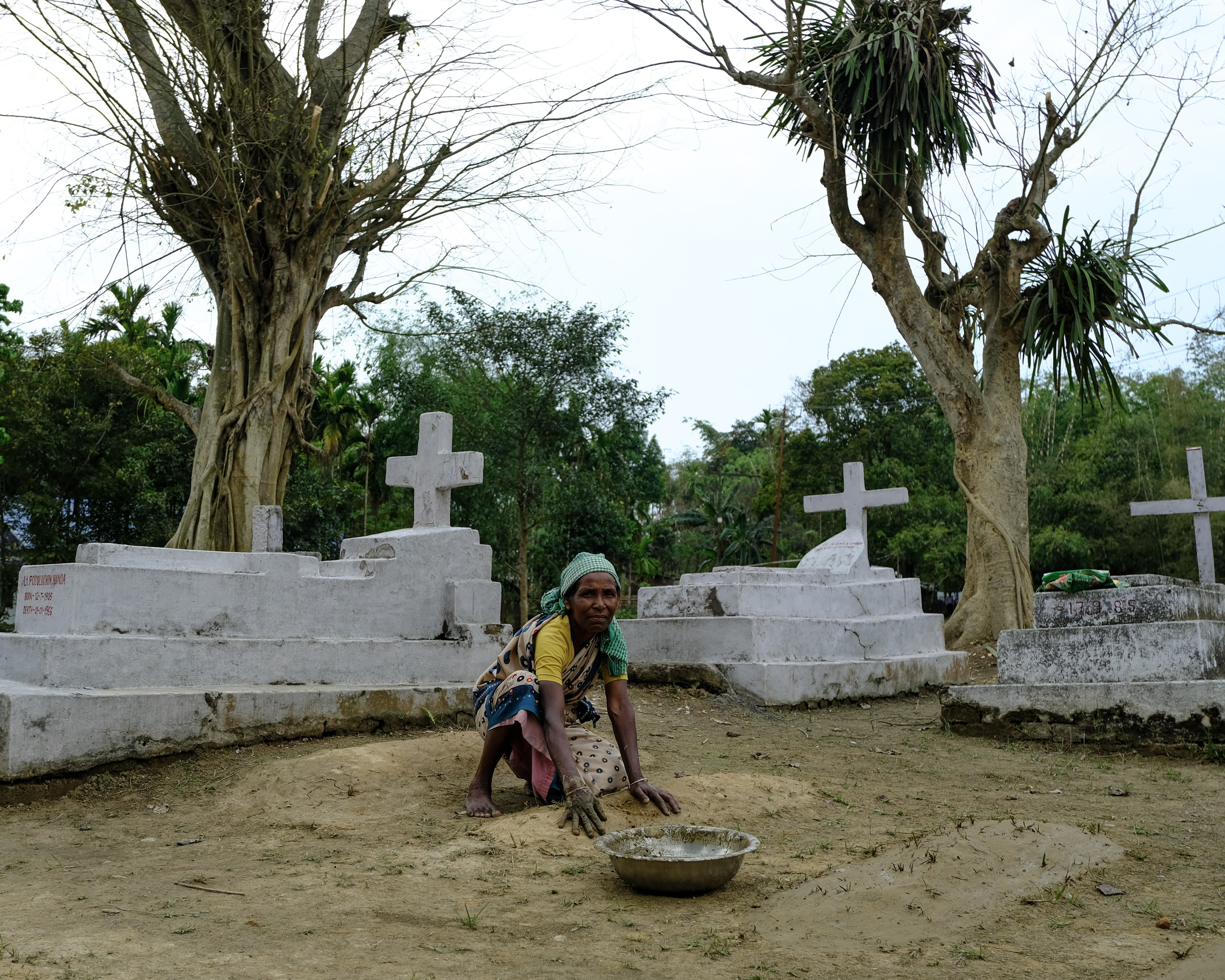 Ассам и Казиранга. Фотографии из путешествий