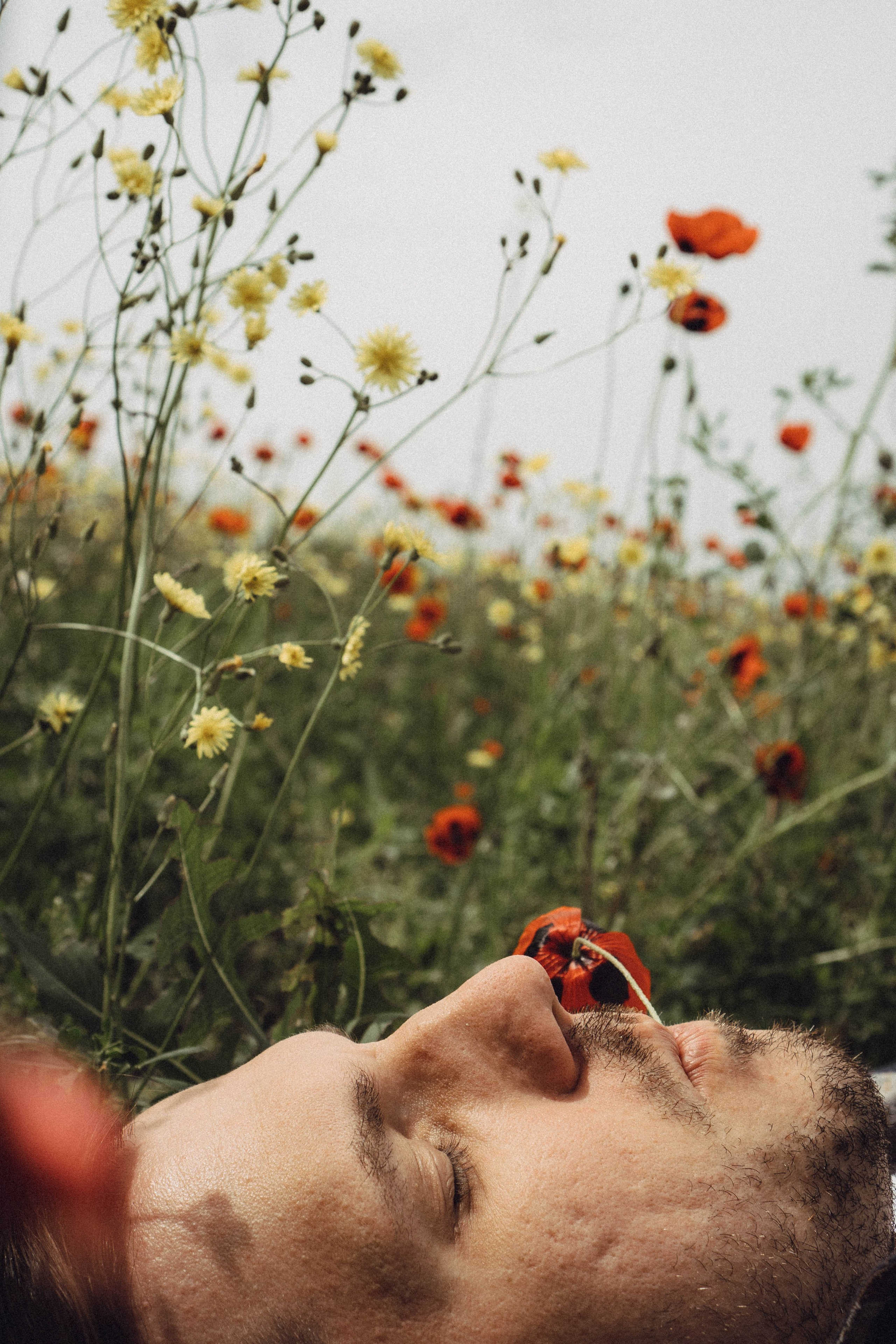 Маки. Профессиональный фотограф, Санкт-Петербург — Виктория Богомолова