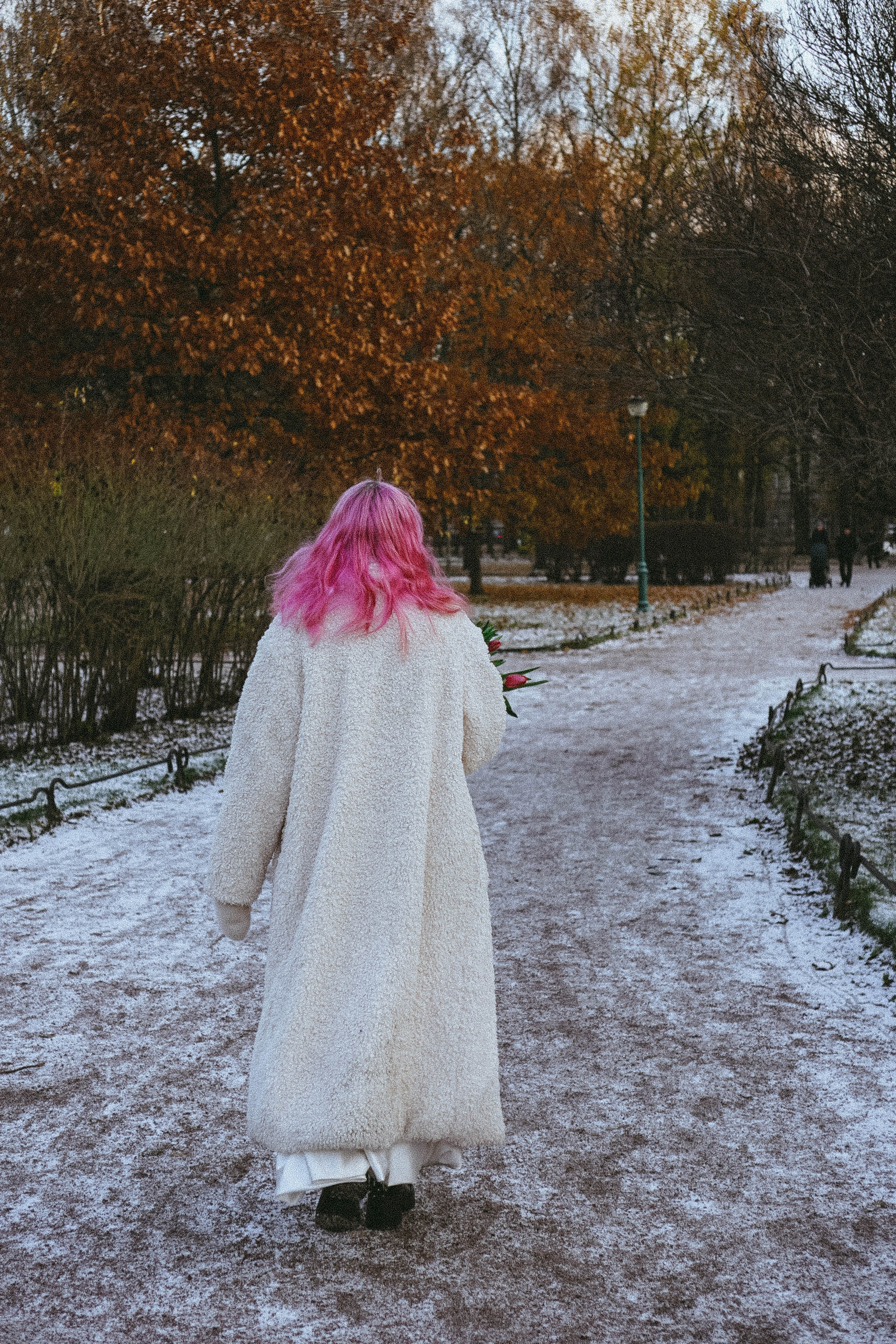 Тюльпаны. Профессиональный фотограф, Санкт-Петербург — Виктория Богомолова