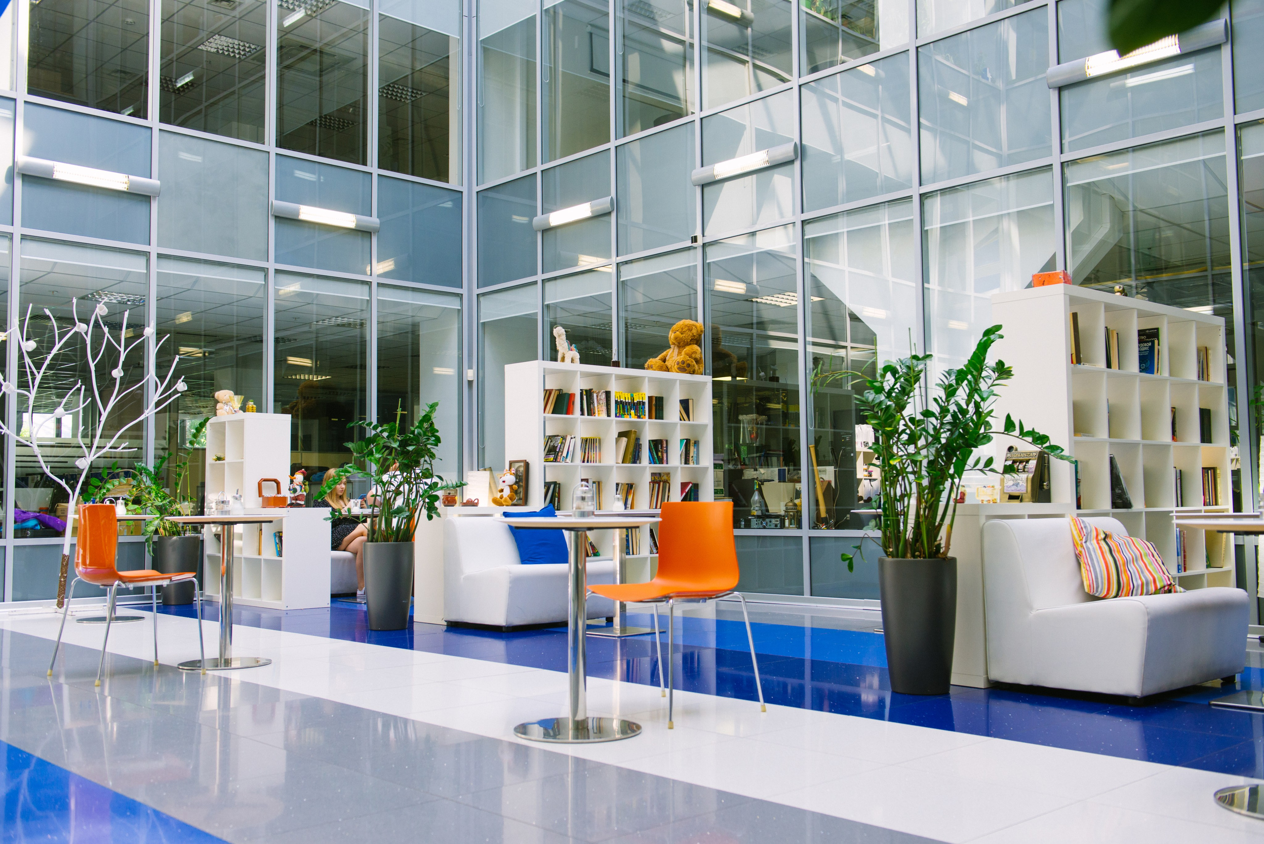 IBS. Фотограф Оля Батист