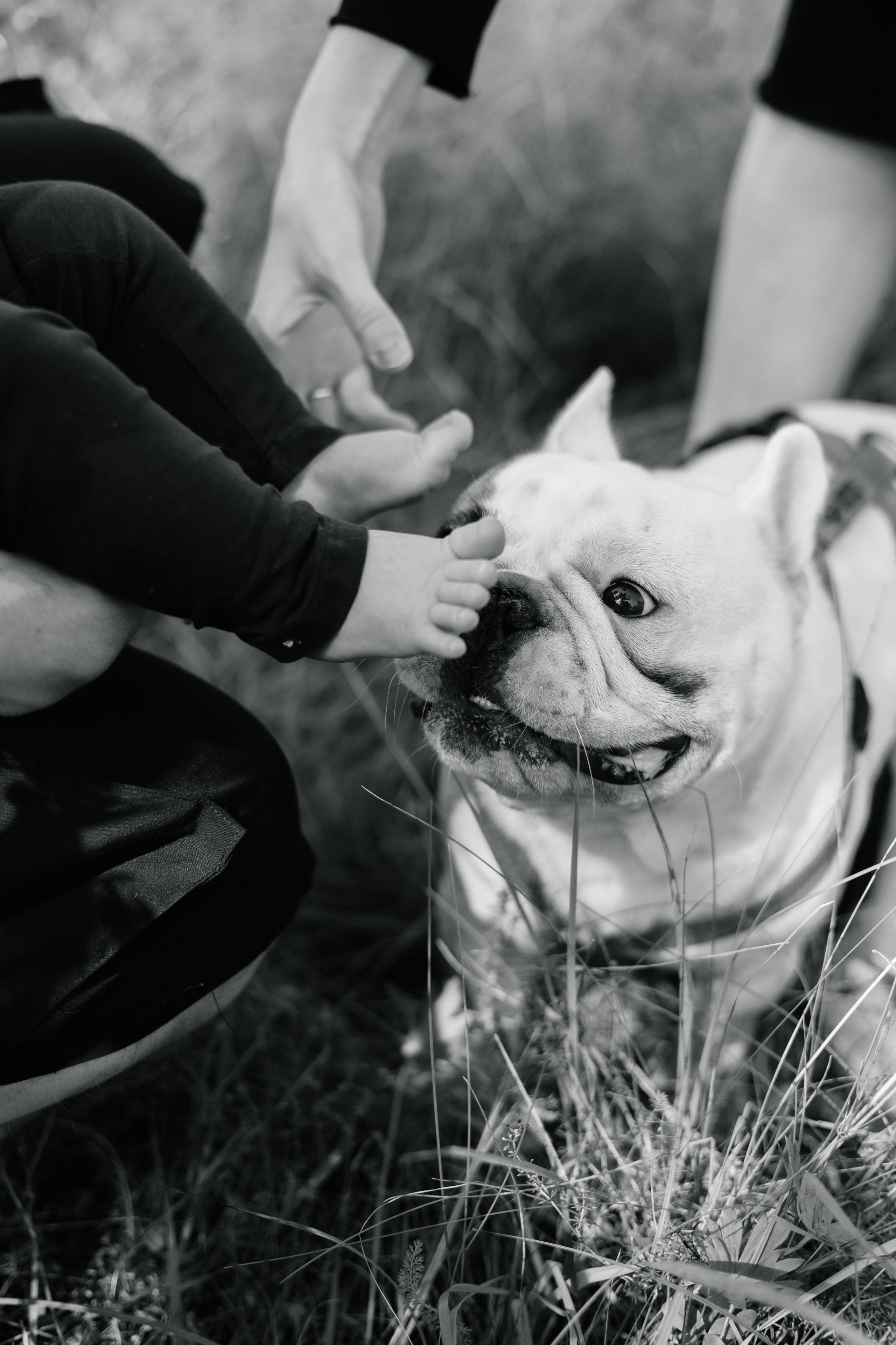 Семейные съемки. Семейный и репортажный фотограф в Пскове Виктория Колесникова