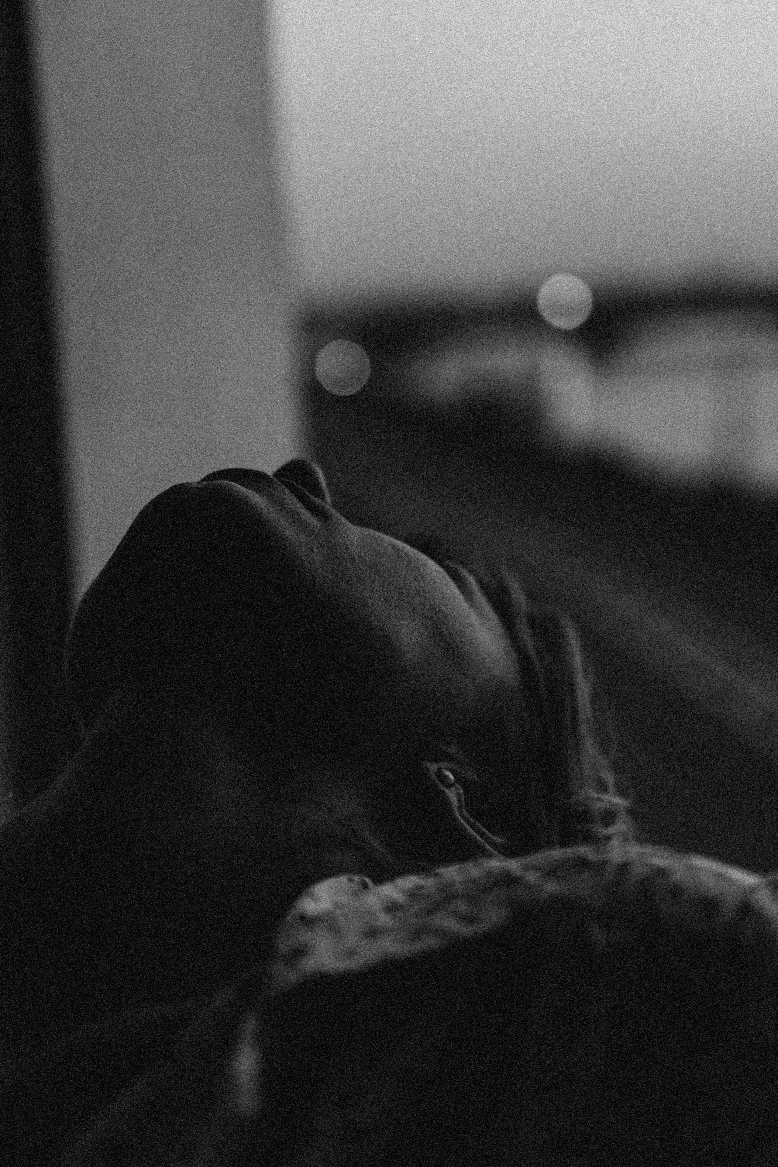 ЛЕТНИЙ ВЕЧЕР. Профессиональный фотограф, Санкт-Петербург — Виктория Богомолова