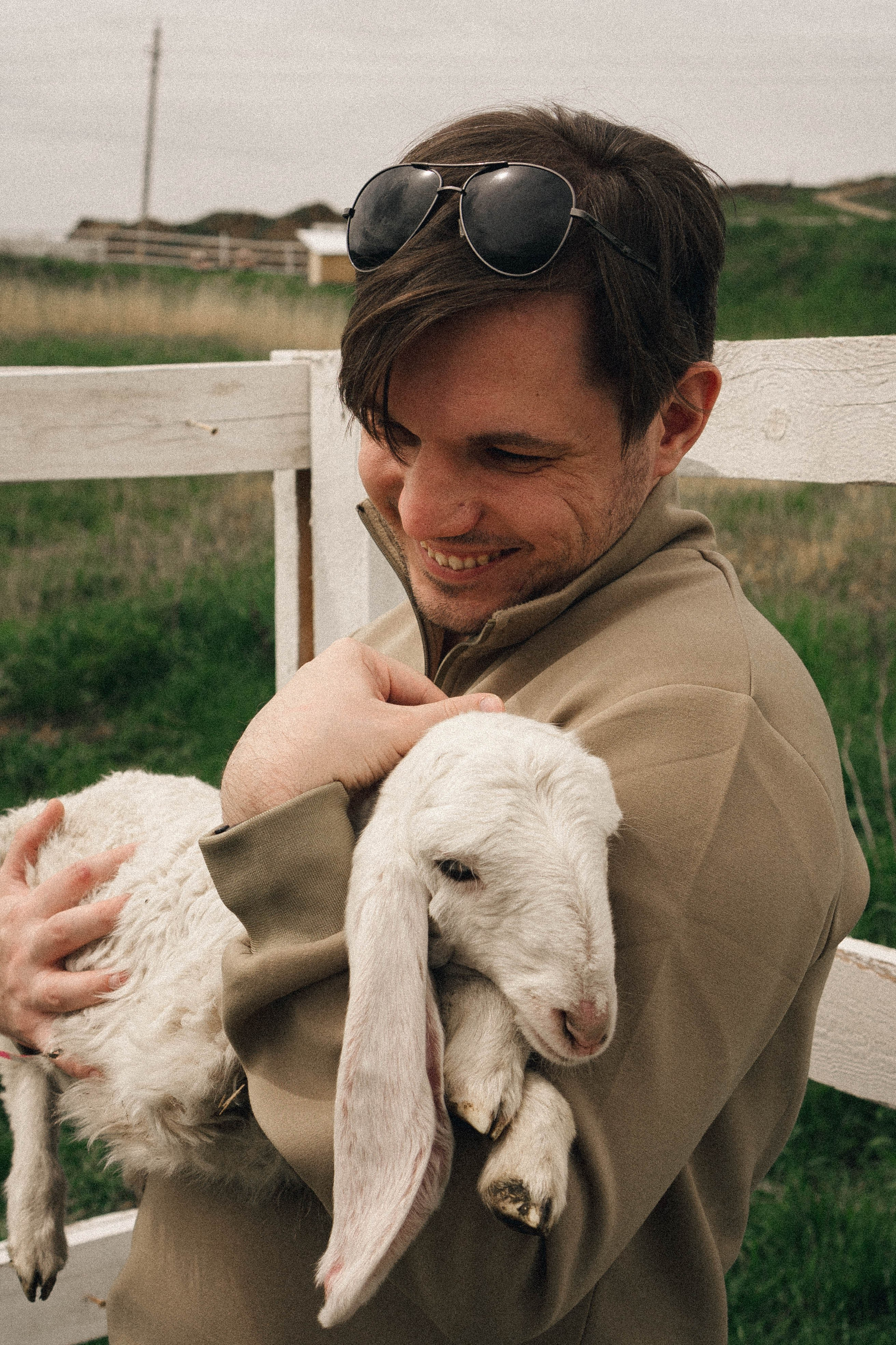 Ферма Альпак. Профессиональный фотограф, Санкт-Петербург — Виктория Богомолова