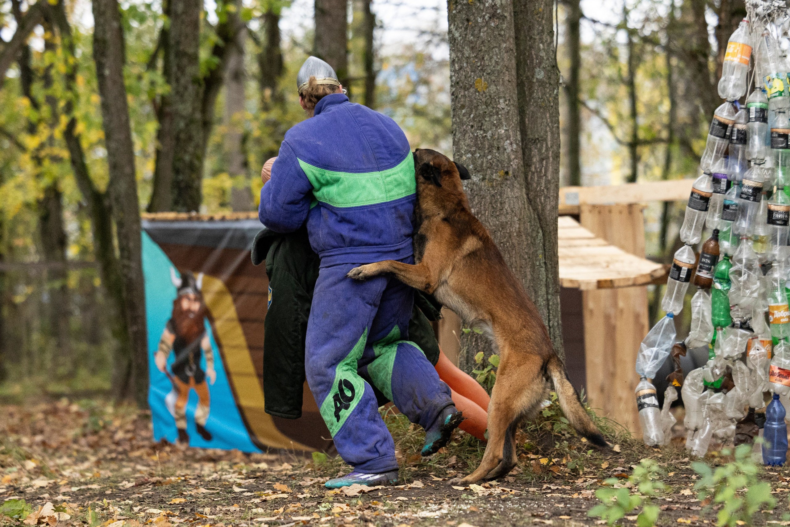 Соревнования по Мондьорингу г. Вологда. Фотограф-анималист Анна Маринич