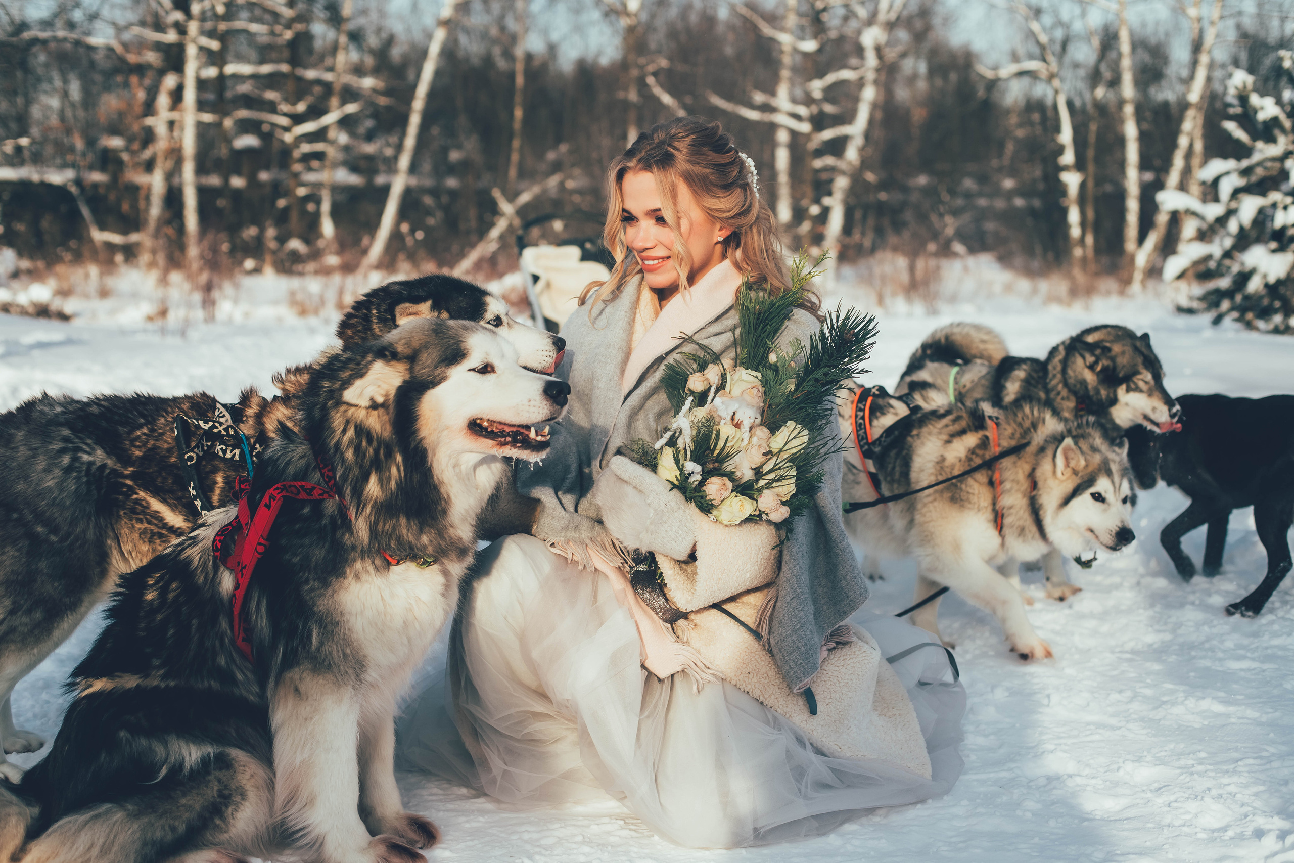 Пара с хаски. Женский свадебный и детский фотограф в Москве Юлия