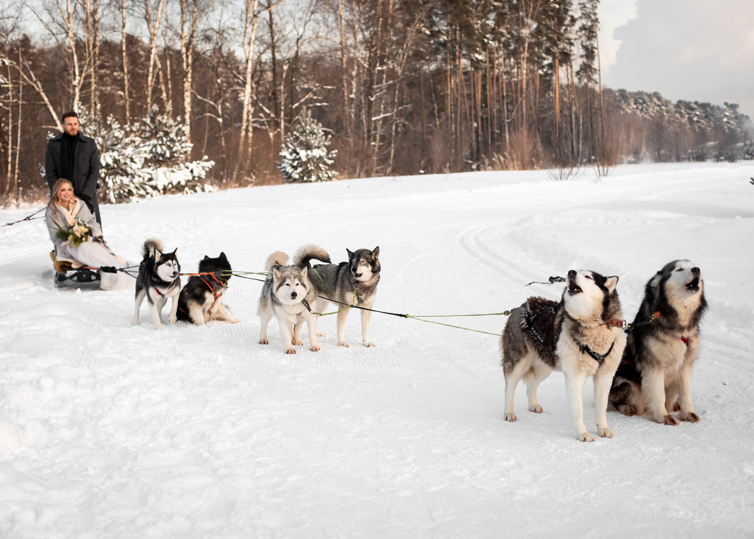 Пара с хаски. Женский свадебный и детский фотограф в Москве Юлия