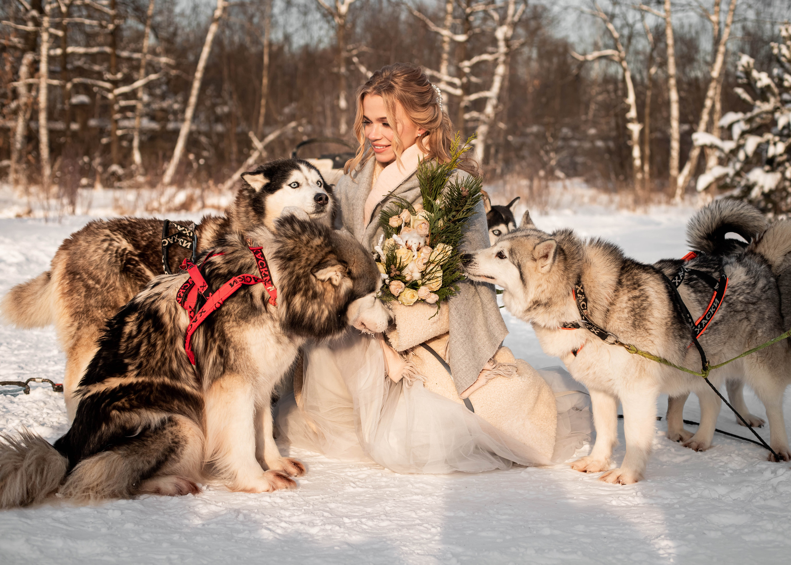 Пара с хаски. Женский свадебный и детский фотограф в Москве Юлия