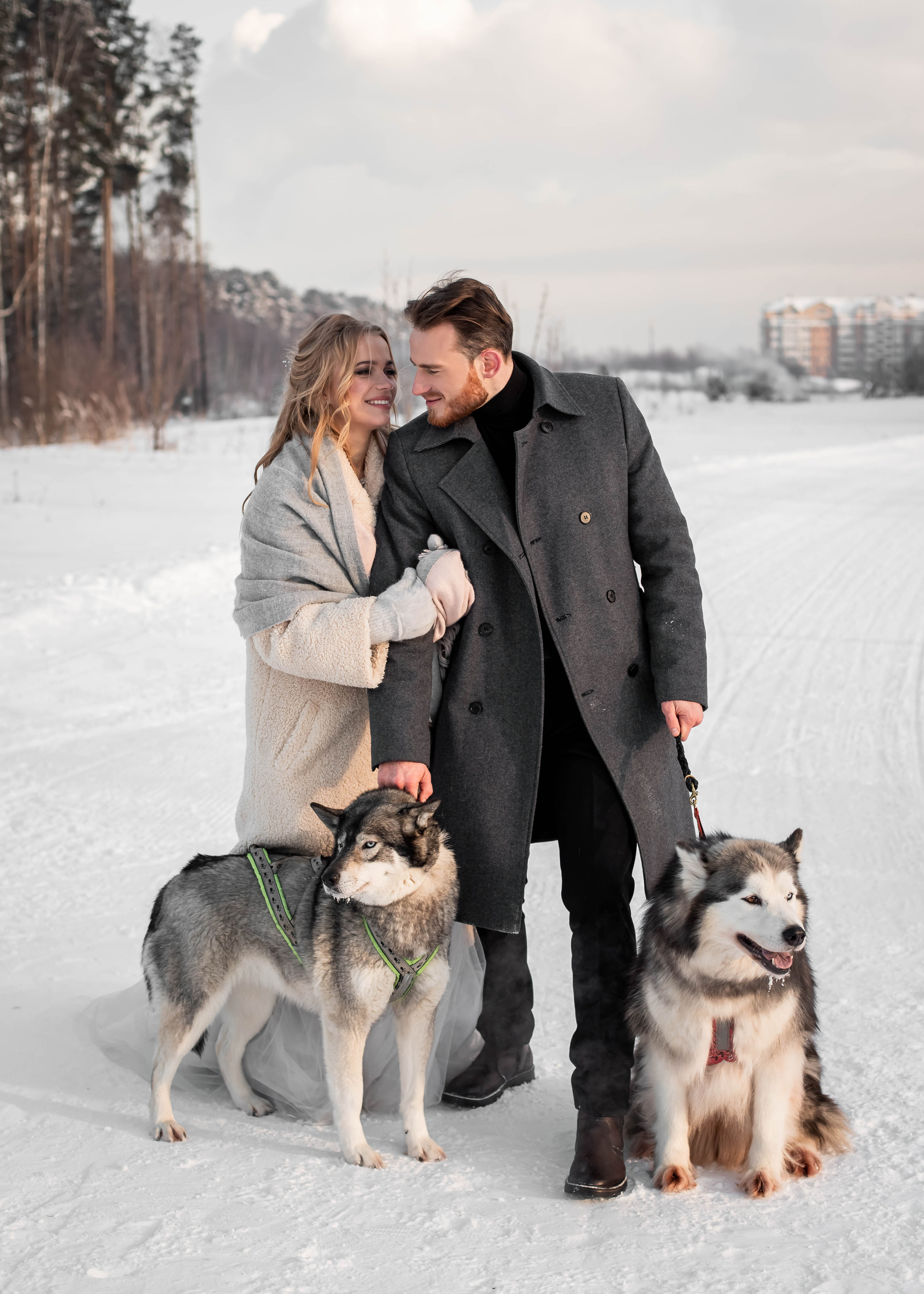 Пара с хаски. Женский свадебный и детский фотограф в Москве Юлия