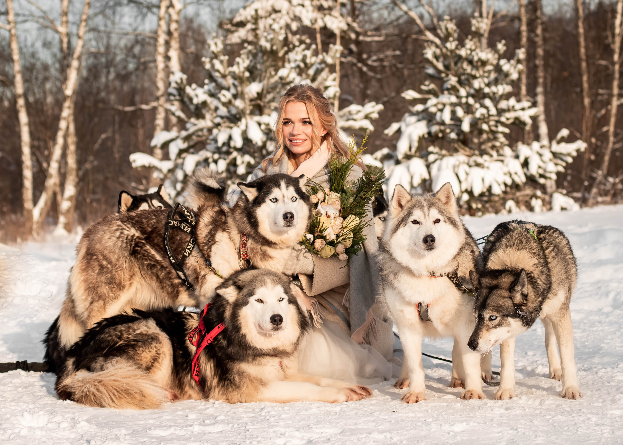 Пара с хаски. Женский свадебный и детский фотограф в Москве Юлия