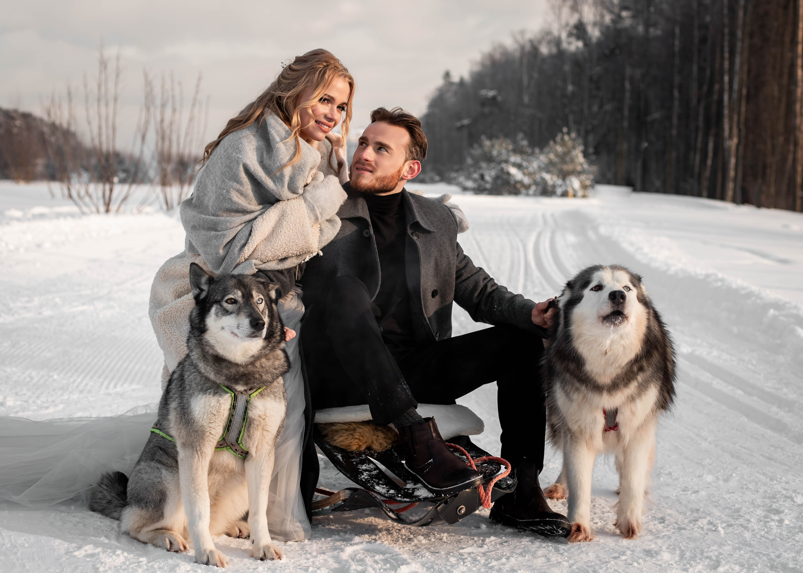 Пара с хаски. Женский свадебный и детский фотограф в Москве Юлия