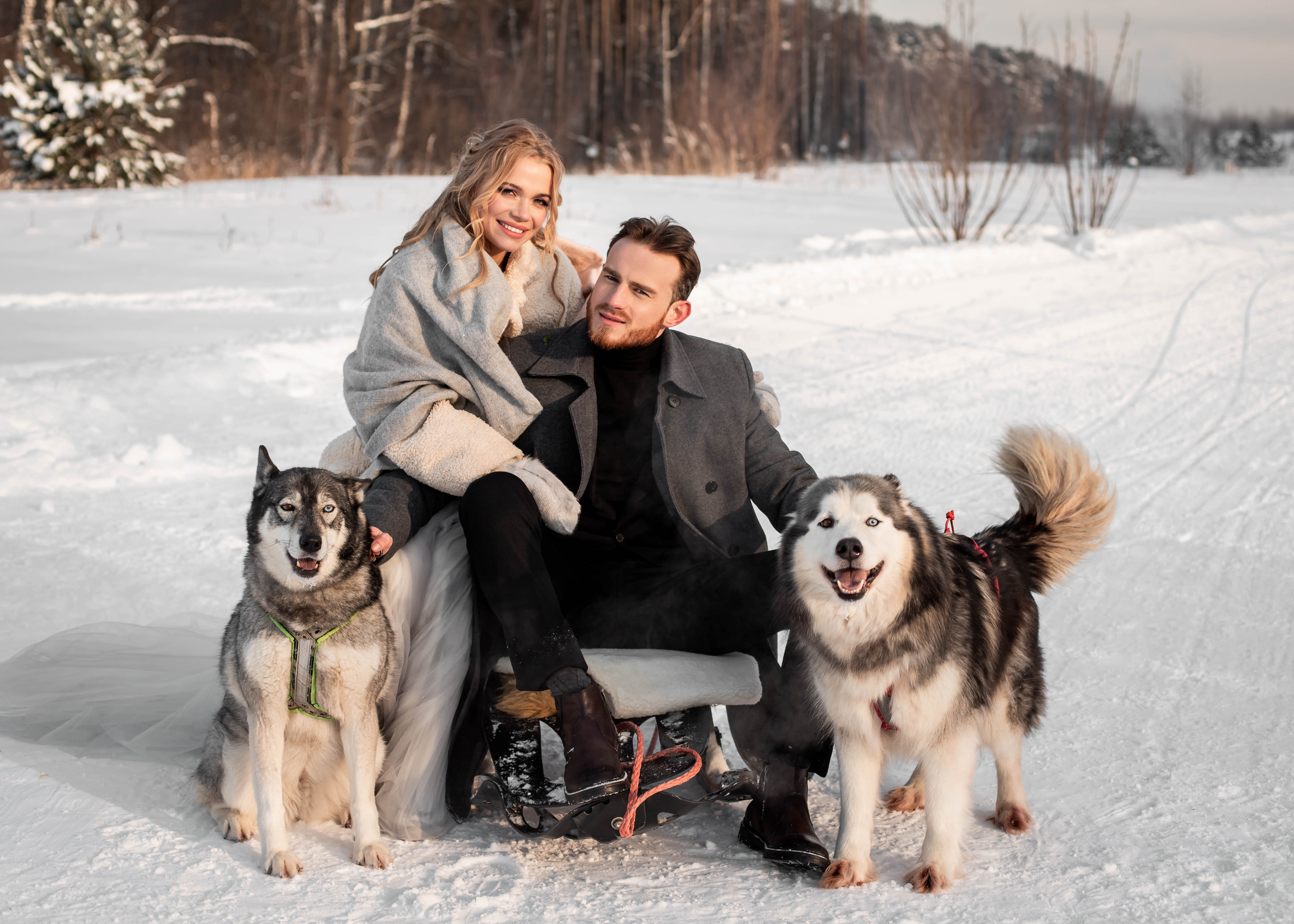 Пара с хаски. Женский свадебный и детский фотограф в Москве Юлия