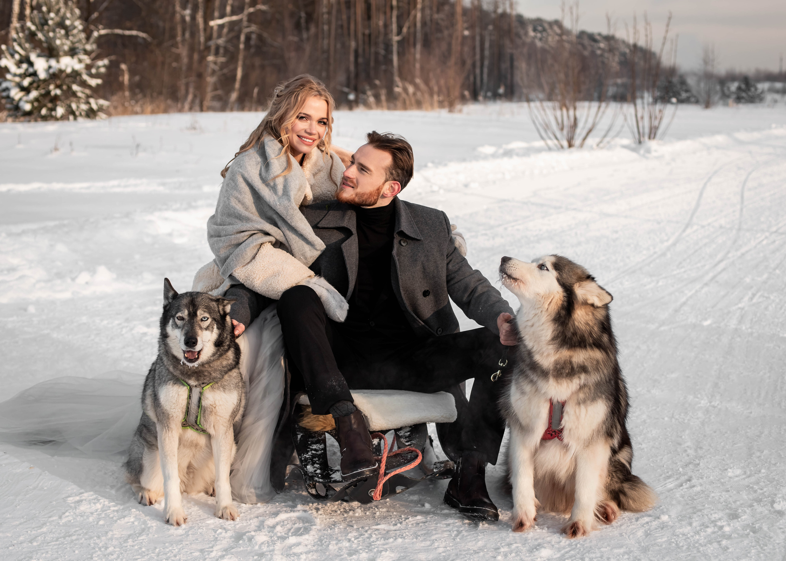 Пара с хаски. Женский свадебный и детский фотограф в Москве Юлия