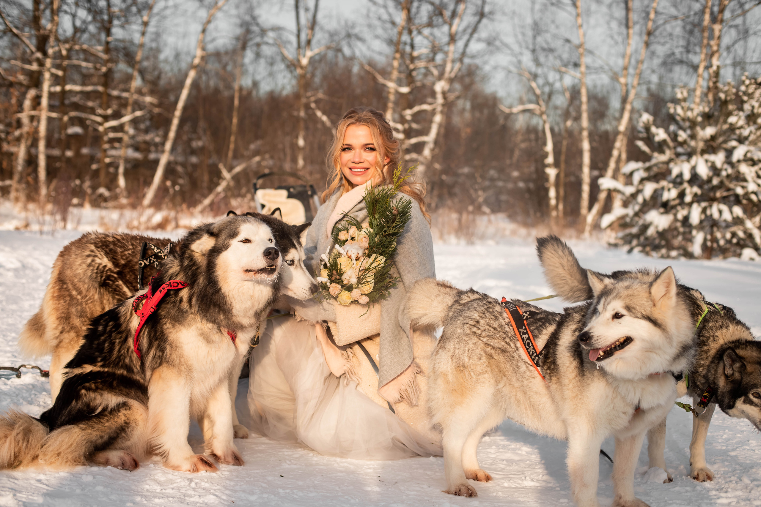 Пара с хаски. Женский свадебный и детский фотограф в Москве Юлия