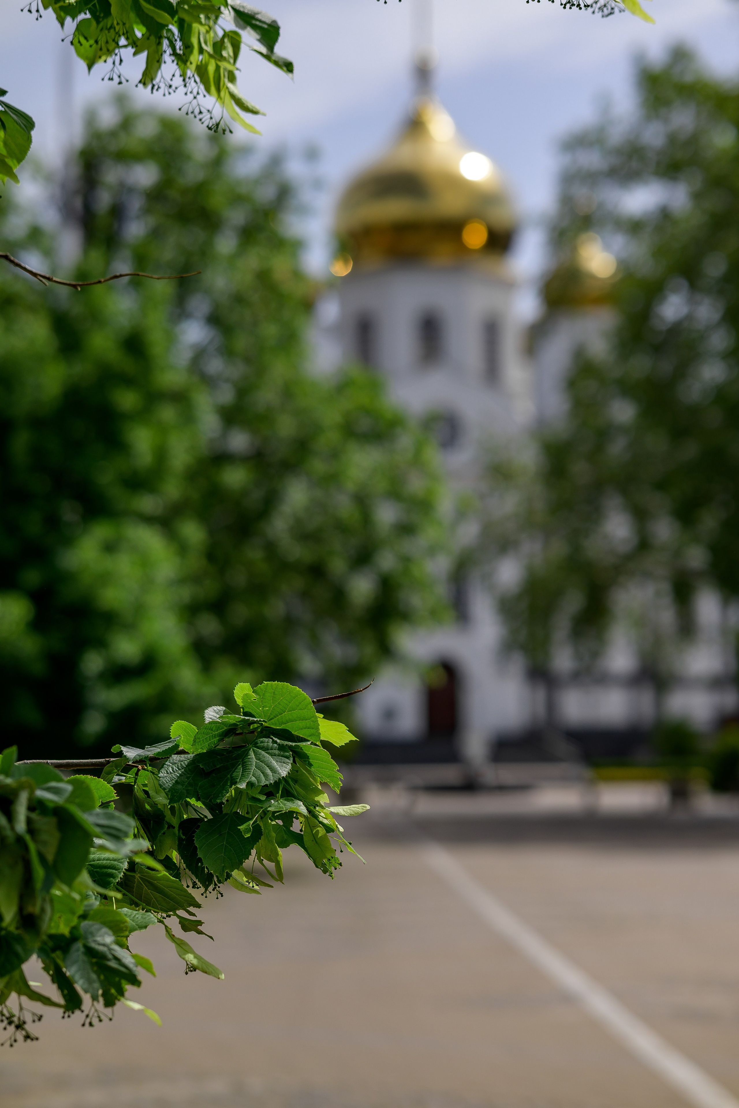 Репортаж для первого канала. Фотограф Краснодар Наталья Сувит