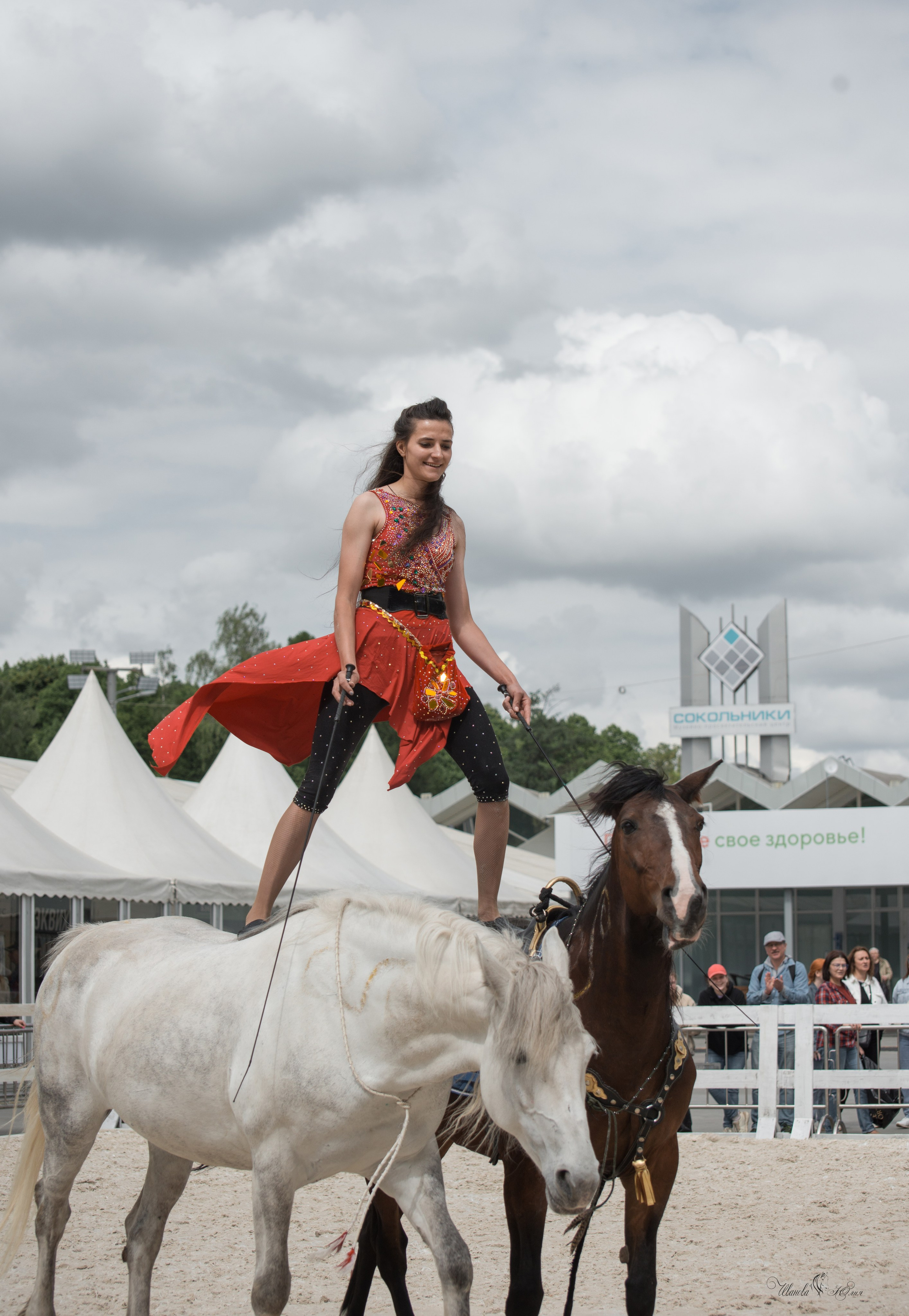Эквирос, Москва. Конный фотограф в Саратове Юлия Иванова