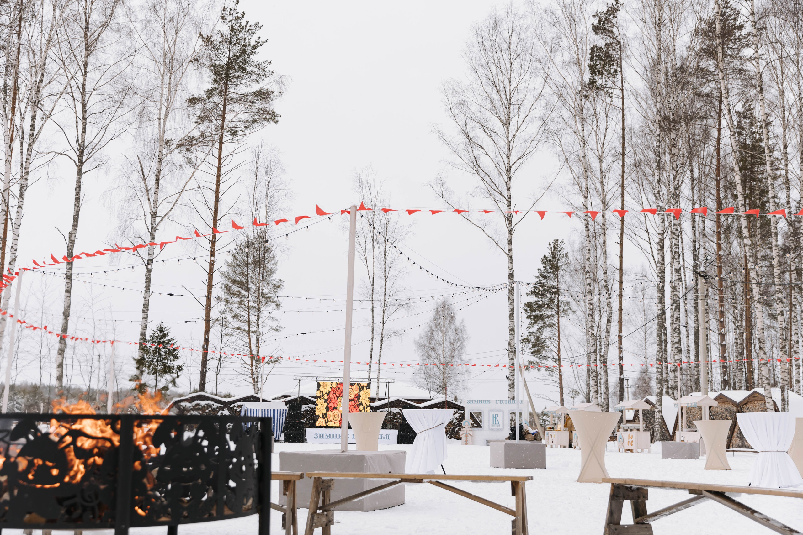 Виноградов. Э Т О М Ы