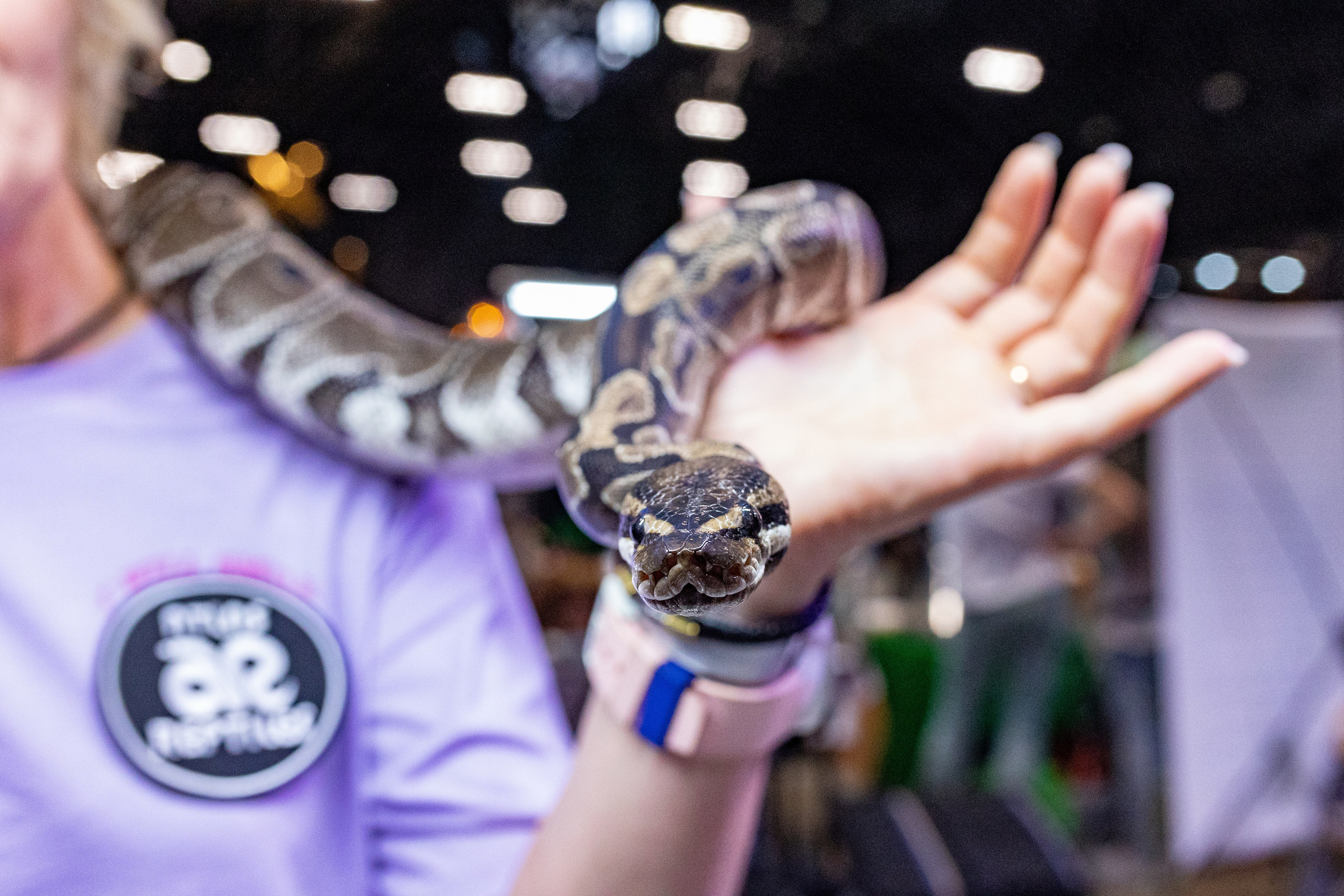 Рептилиум 2024. Александра Куликова фотограф, Москва