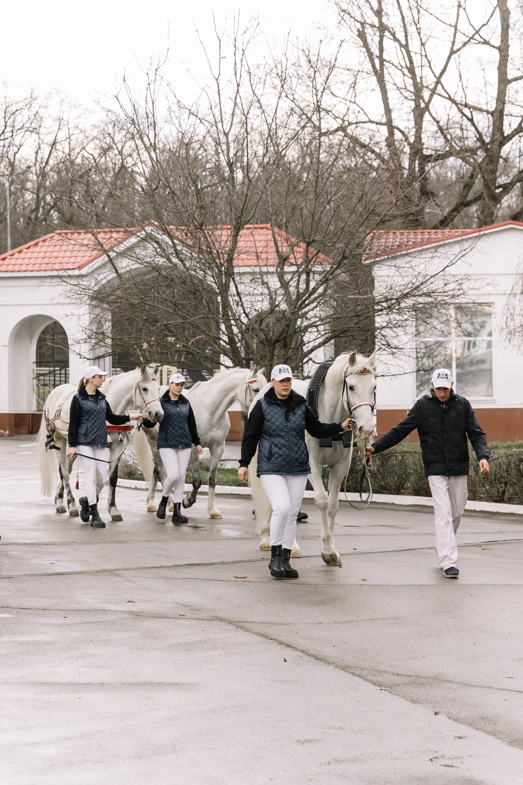 День Орловского рысака. Парк-отель Яр. Свадебный, репортажный фотограф Ирина Шкурина