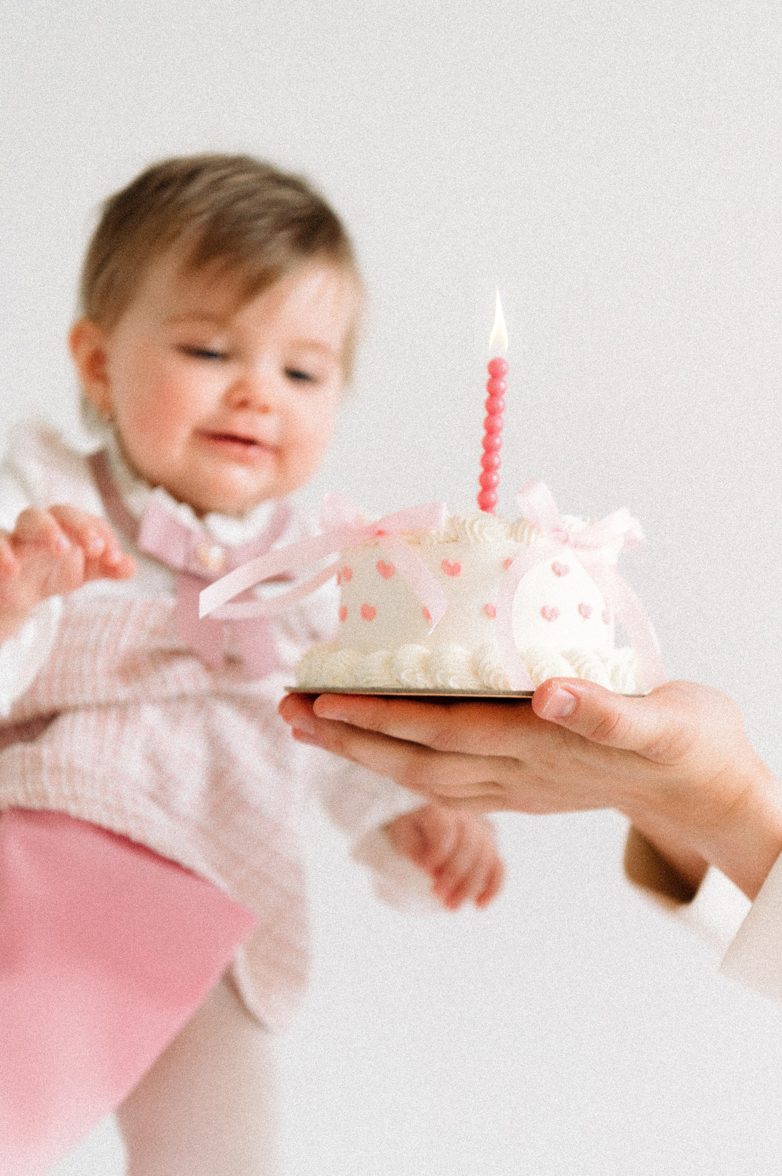 Daria | Varvara. Свадебный фотограф Санкт-Петербург DanyaPhotoart