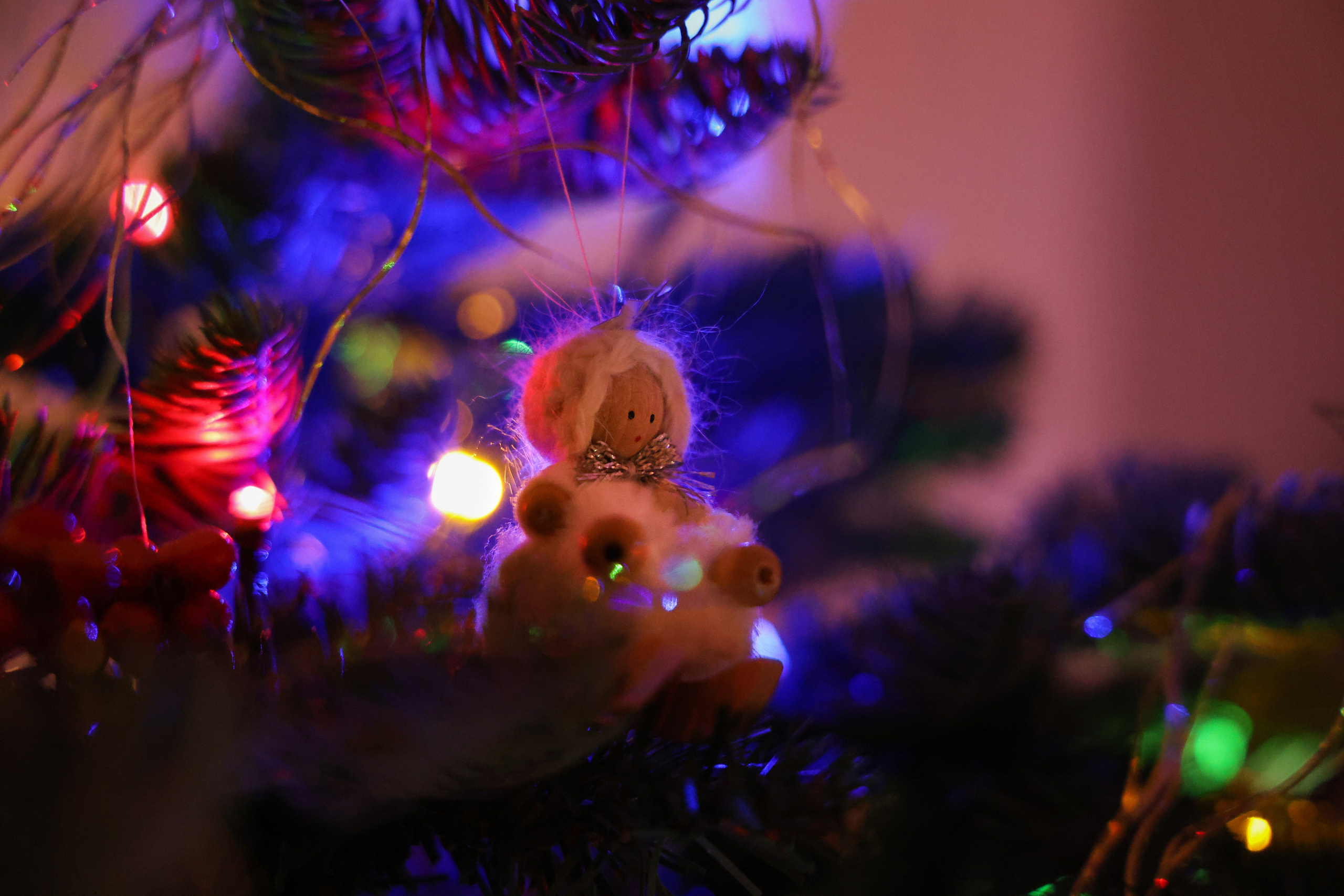 Christmas tree. Portrait photographer based in Toronto — Blinova Mariia