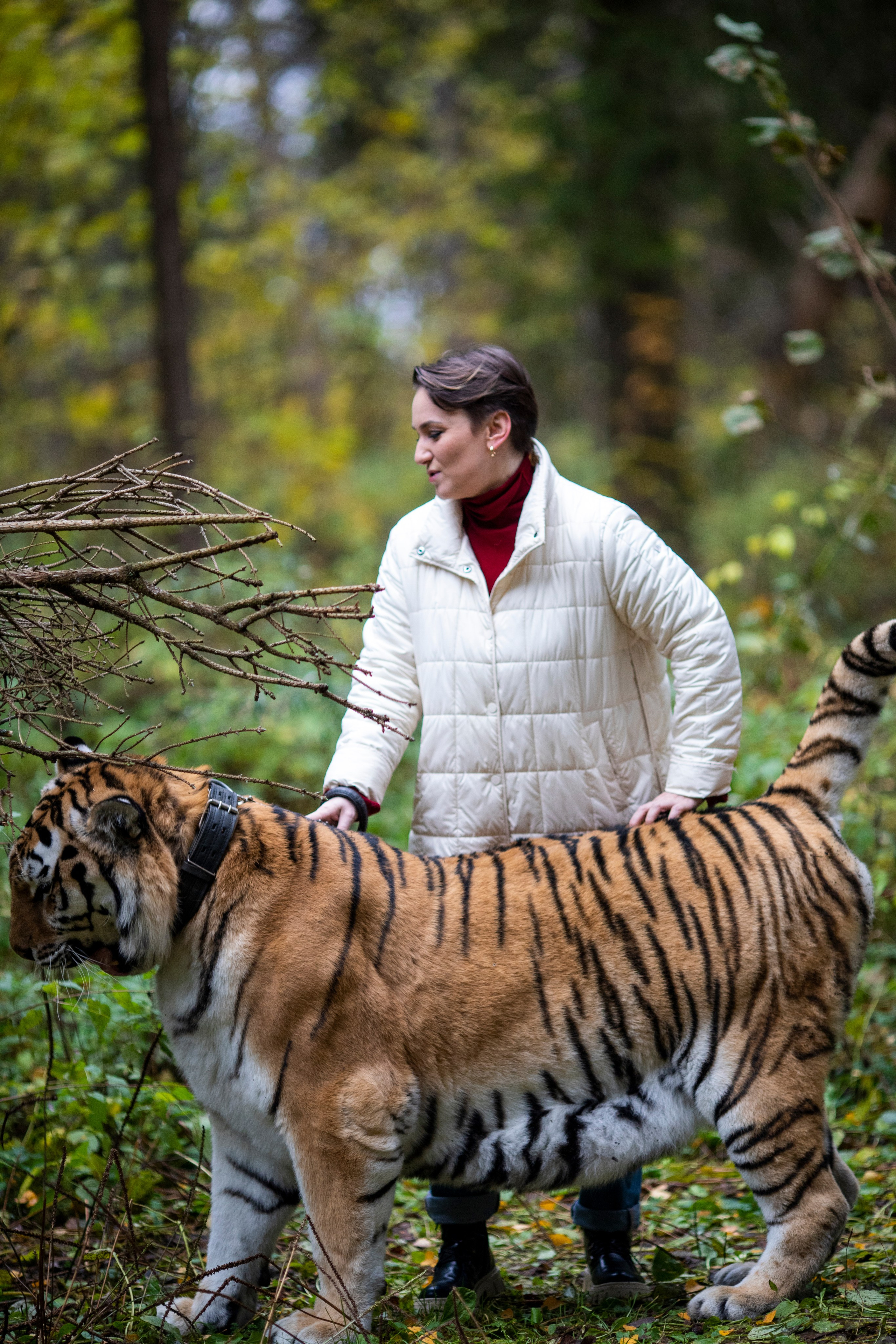 С тигром. Фотограф в Москве и в Московской области Сандра