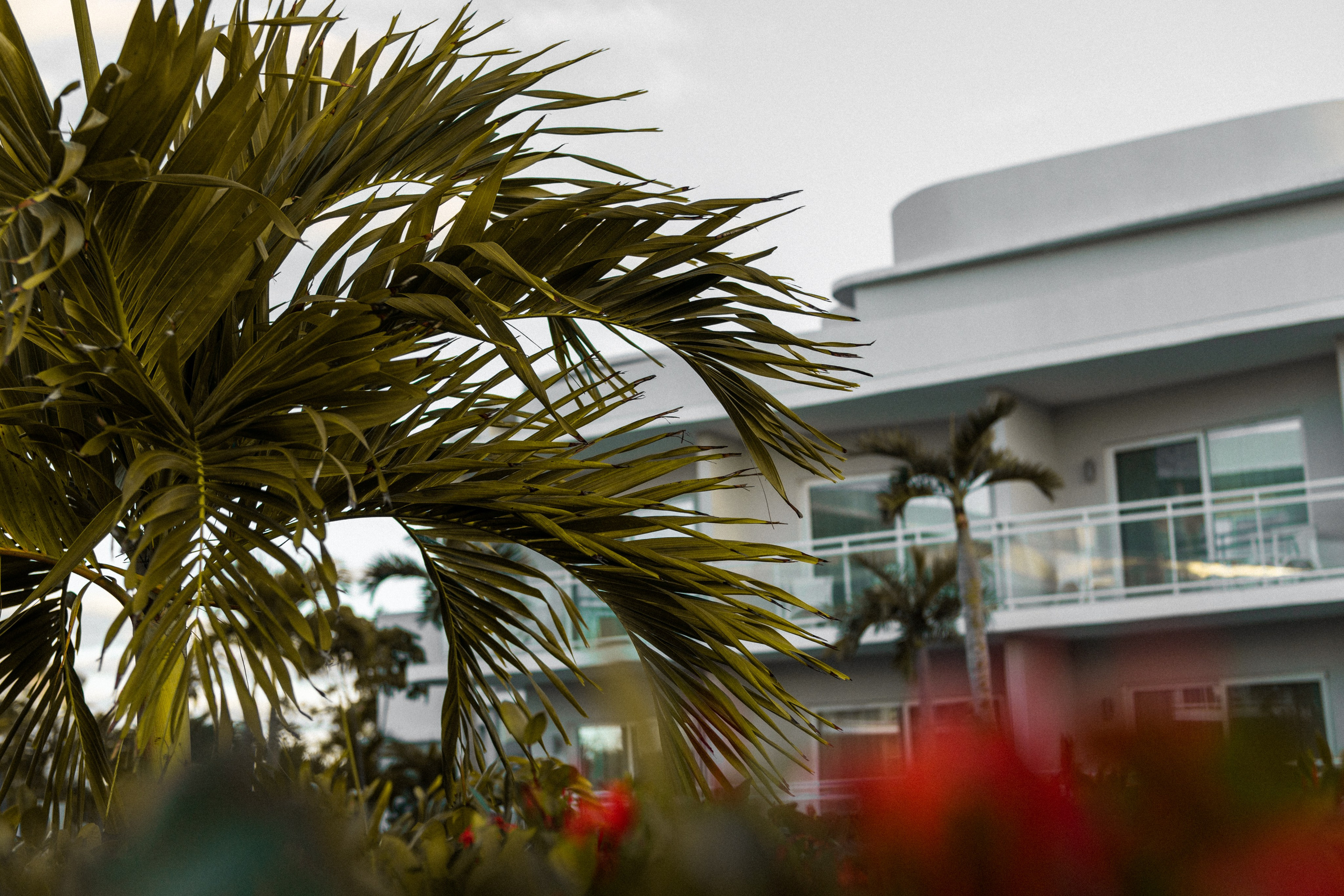 Фотограф в Анталии, фотосессии в Анталии, профессиональный фотограф Анталия, свадебный фотограф Анталия, портретная фотография Анталия, фотограф на мероприятие Анталия, семейный фотограф Анталия, фотограф на отпуск Анталия, фотография недвижимости Анталия, аэрофотосъёмка Анталия, пляжная фотосессия Анталия, фотограф на помолвку Анталия, фотография беременности Анталия, фотограф для новорождённых Анталия, фотограф для путешествий Анталия, коммерческая фотография Анталия, фотограф для деловых портретов Анталия, фэшн фотограф Анталия, портреты выпускников Анталия, лайфстайл фотография Анталия