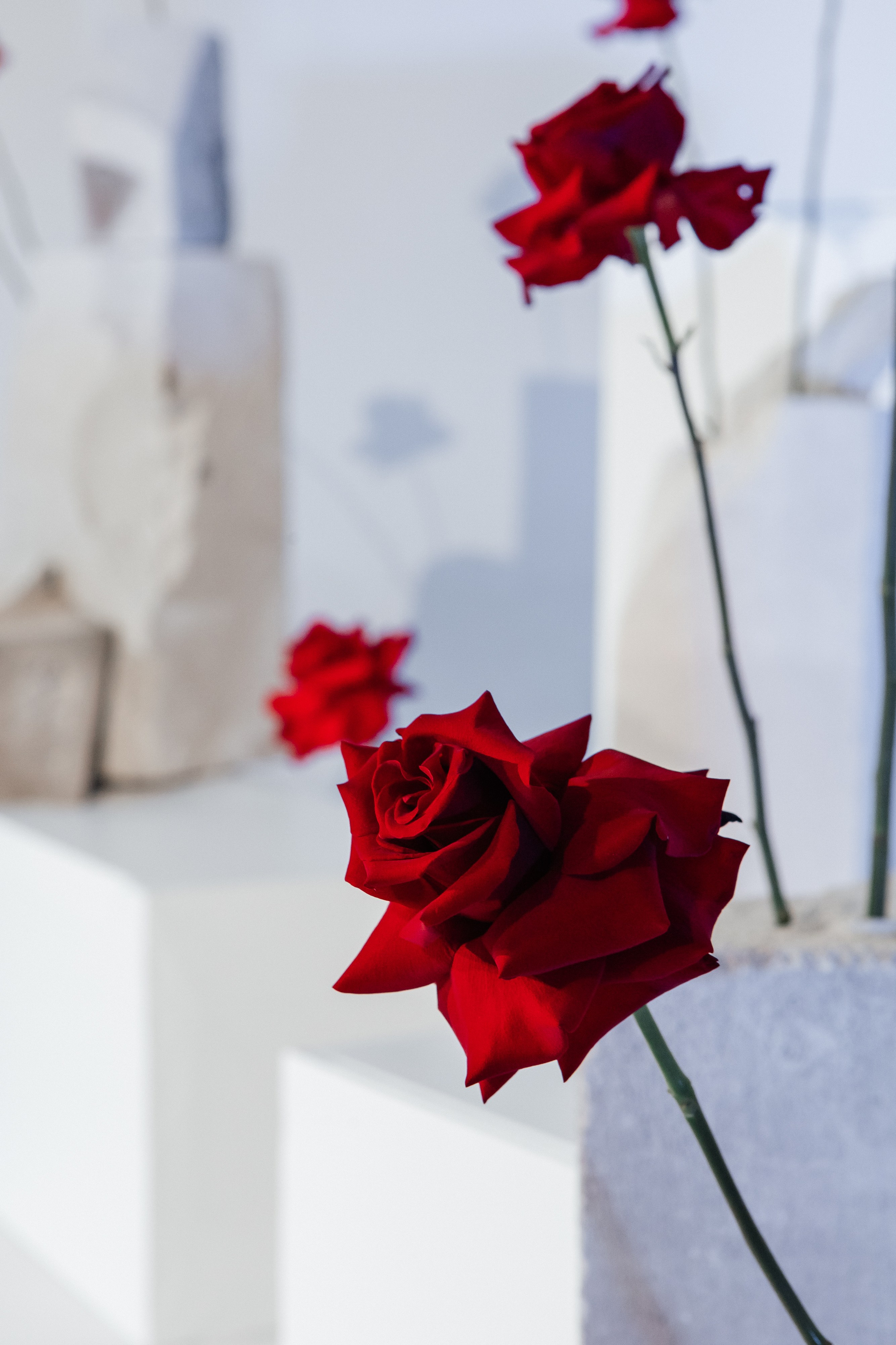 RED point. Свадебный фотограф в Тольятти Валерия Барышкина