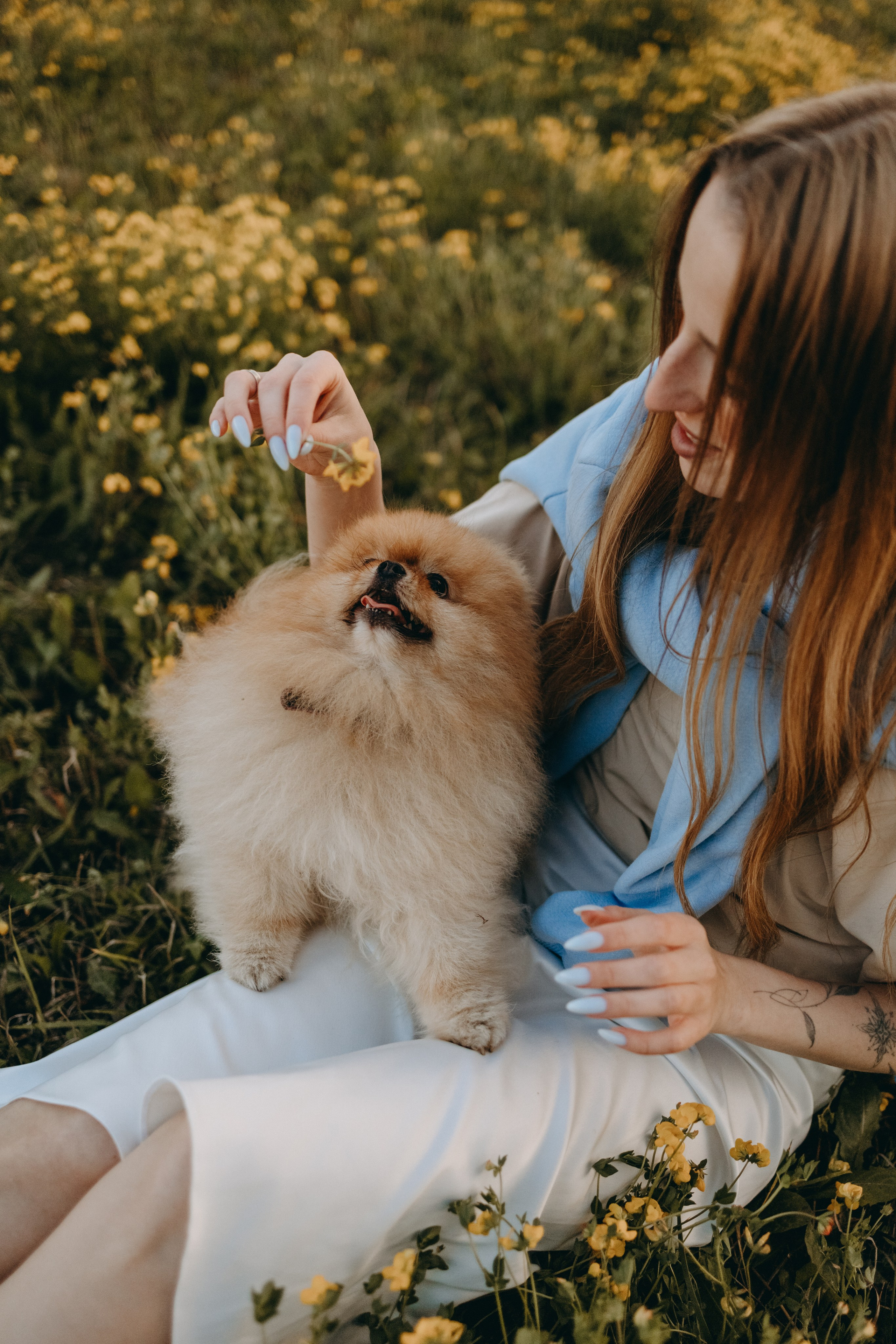 Стив и его семья. Фотограф — Анималист | Санкт-Петербург