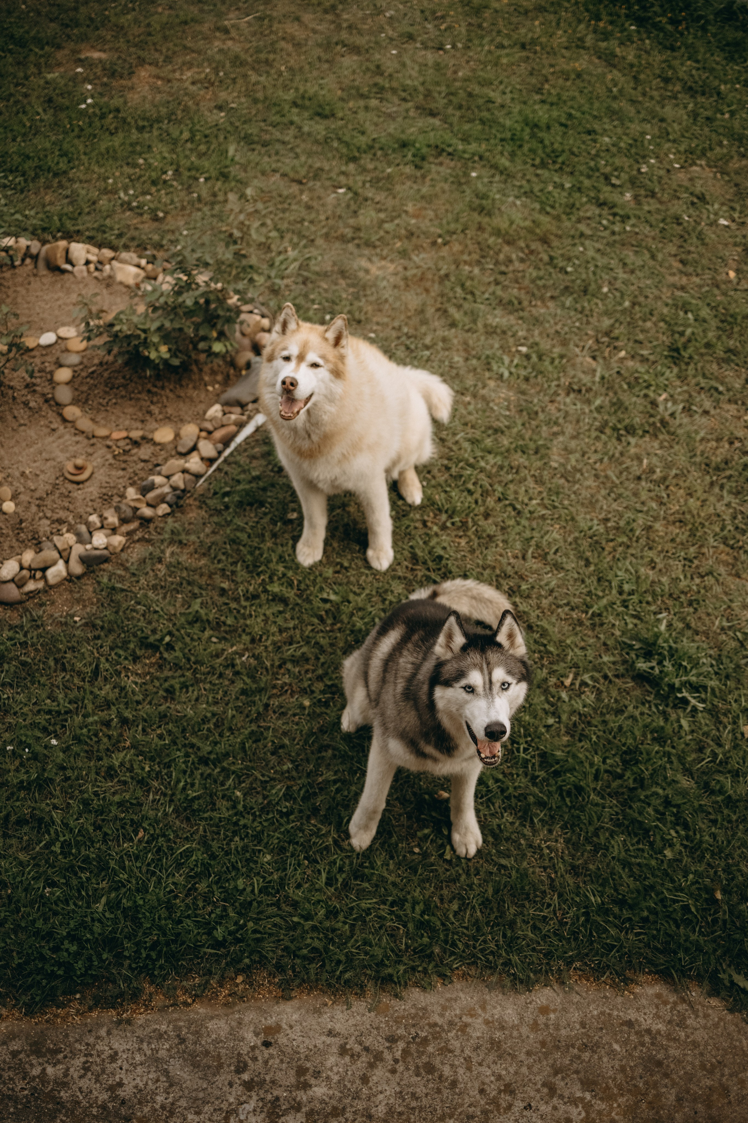 Дом у реки. Фотограф — Анималист | Санкт-Петербург