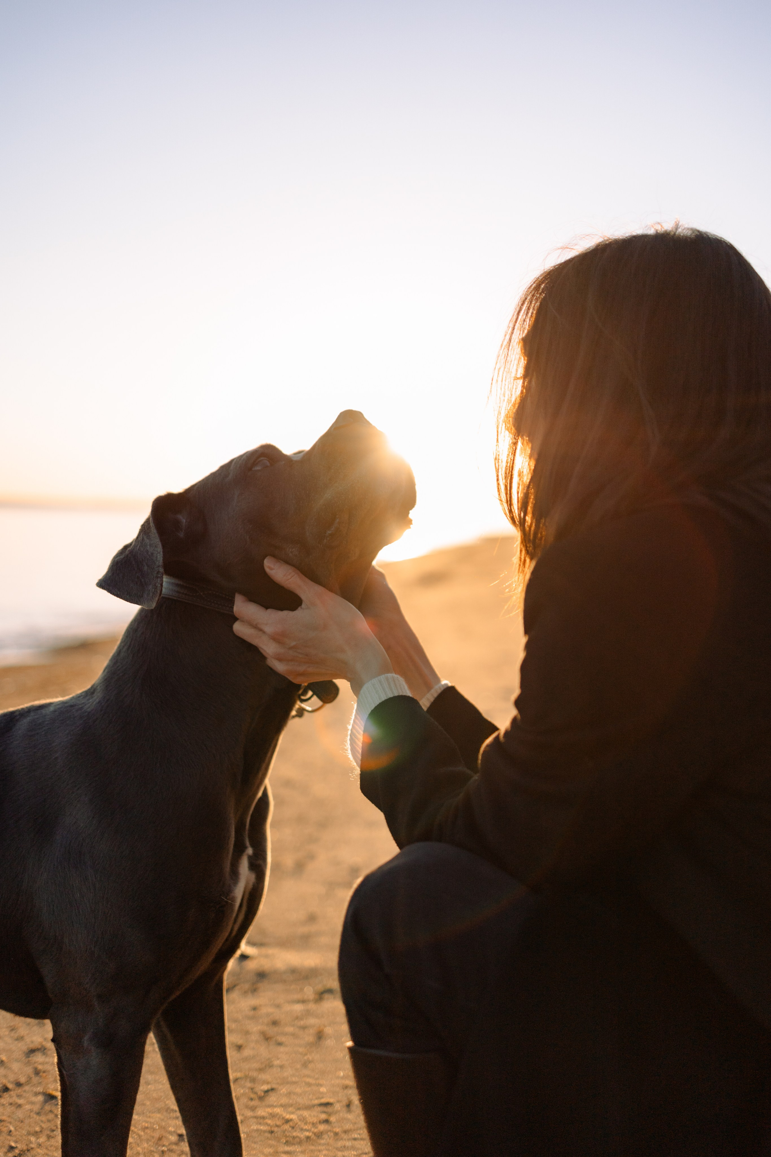 Анна и Лана. Фотограф — Анималист | Санкт-Петербург