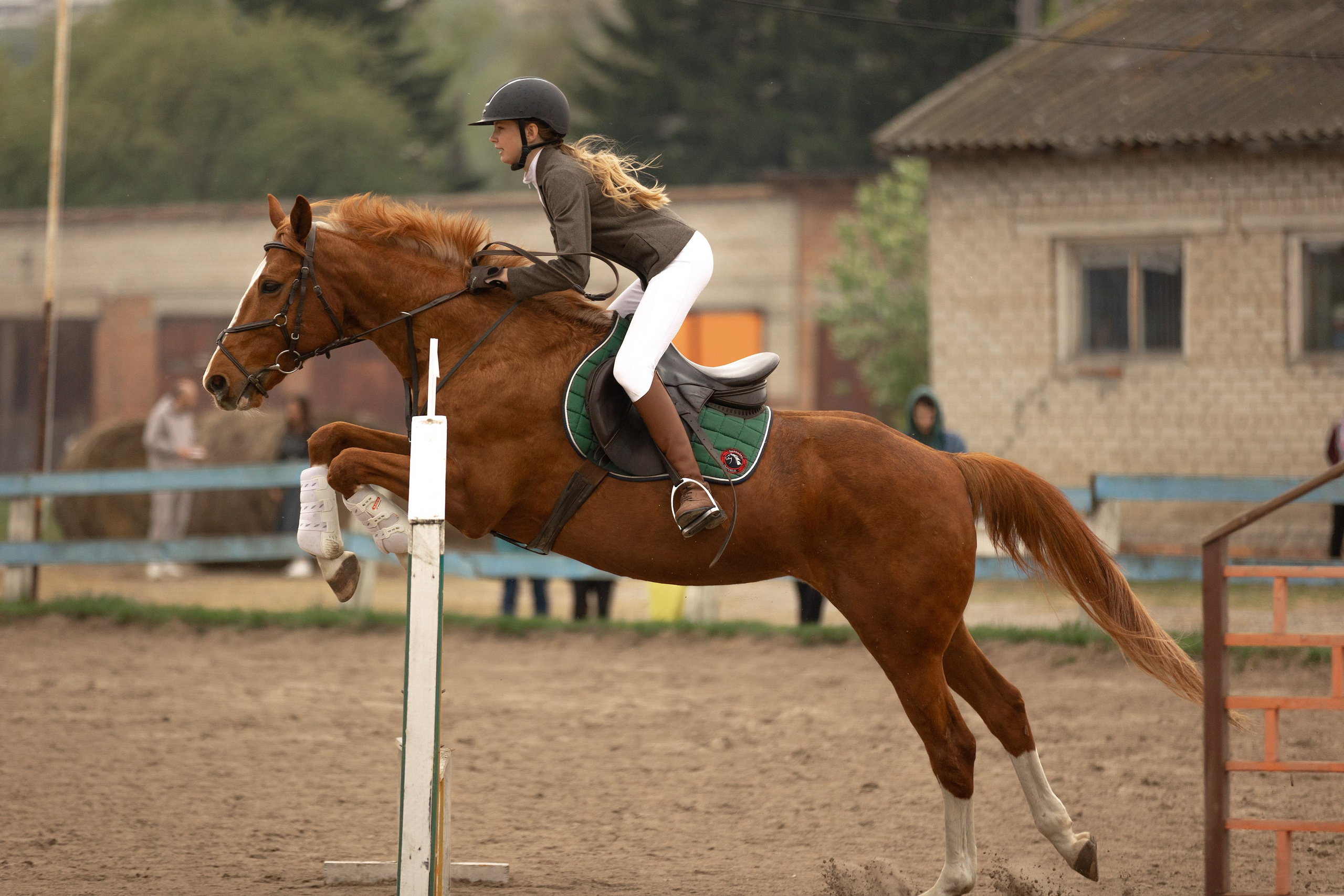 Соревнования по конному спорту. Конный фотограф Валынкина Лера