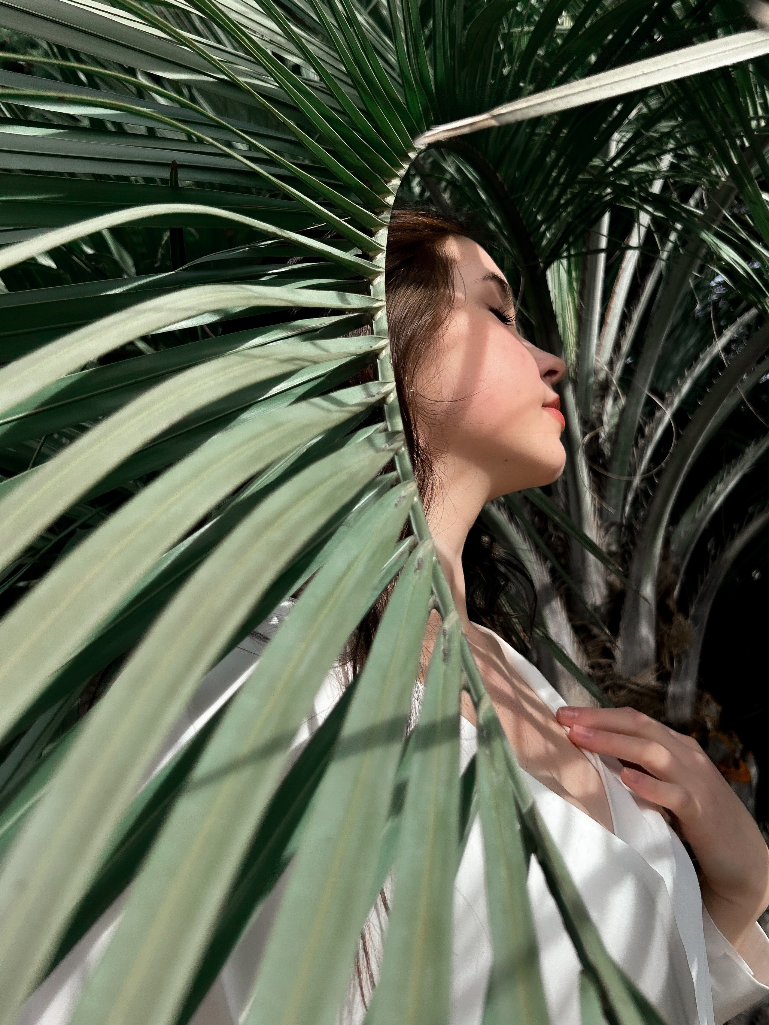 Весеннее море. Главная