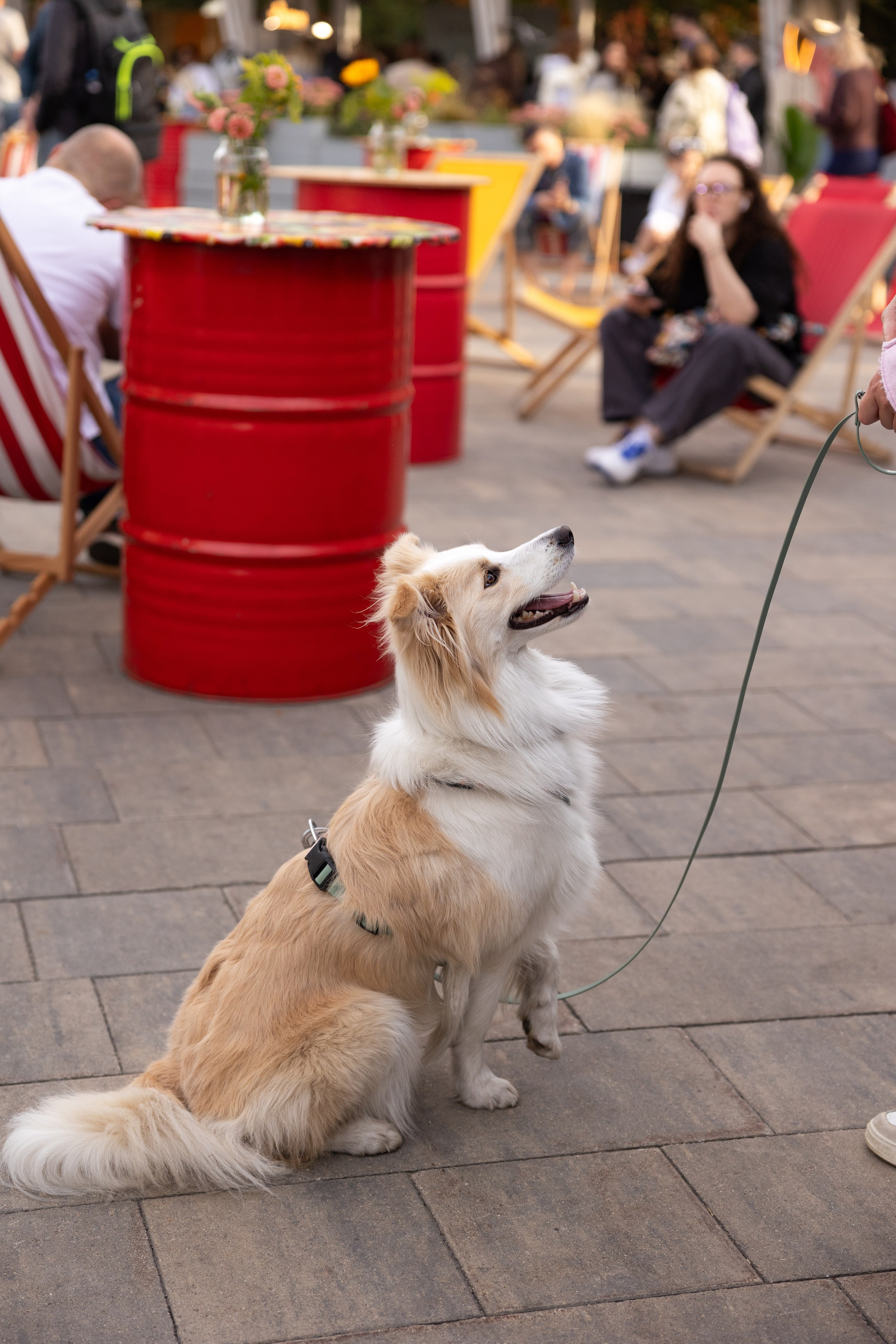 13–14 сентября 2025 на Даниловском рынке / День 1 / фото Саша Жукова. Фотоотчеты «Ламбада-маркета»
