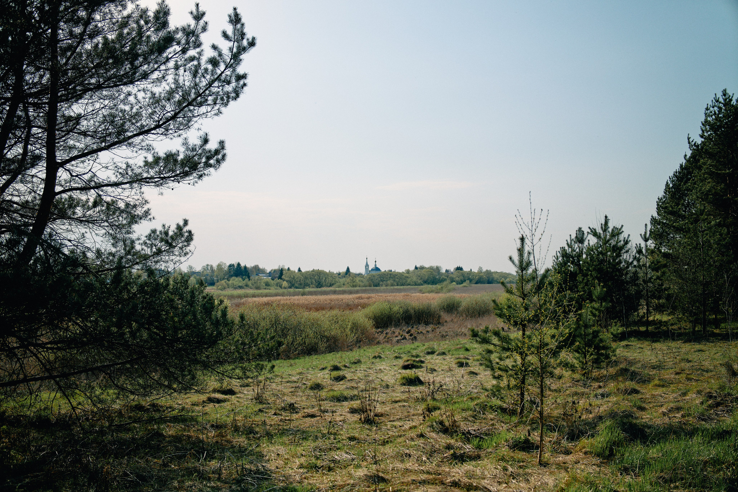 Бутик-отель Поле летом. Профессиональный Фотограф во Владимире, в Москве и в Суздале — Полина Романычева