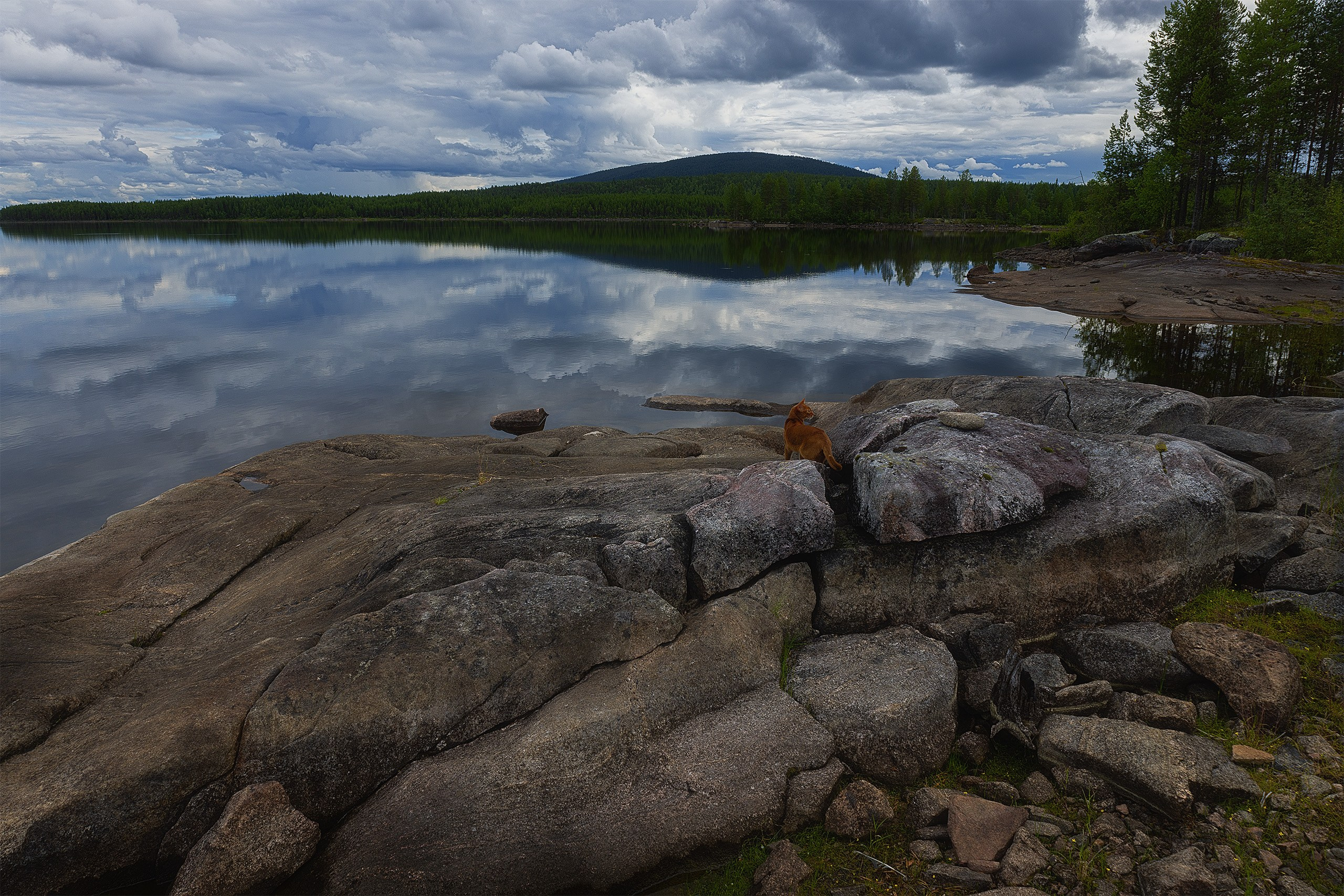 Пейзажи. Сайт фотографа Елены Михайловой. Фотосессии на пленэре в Сестрорецке