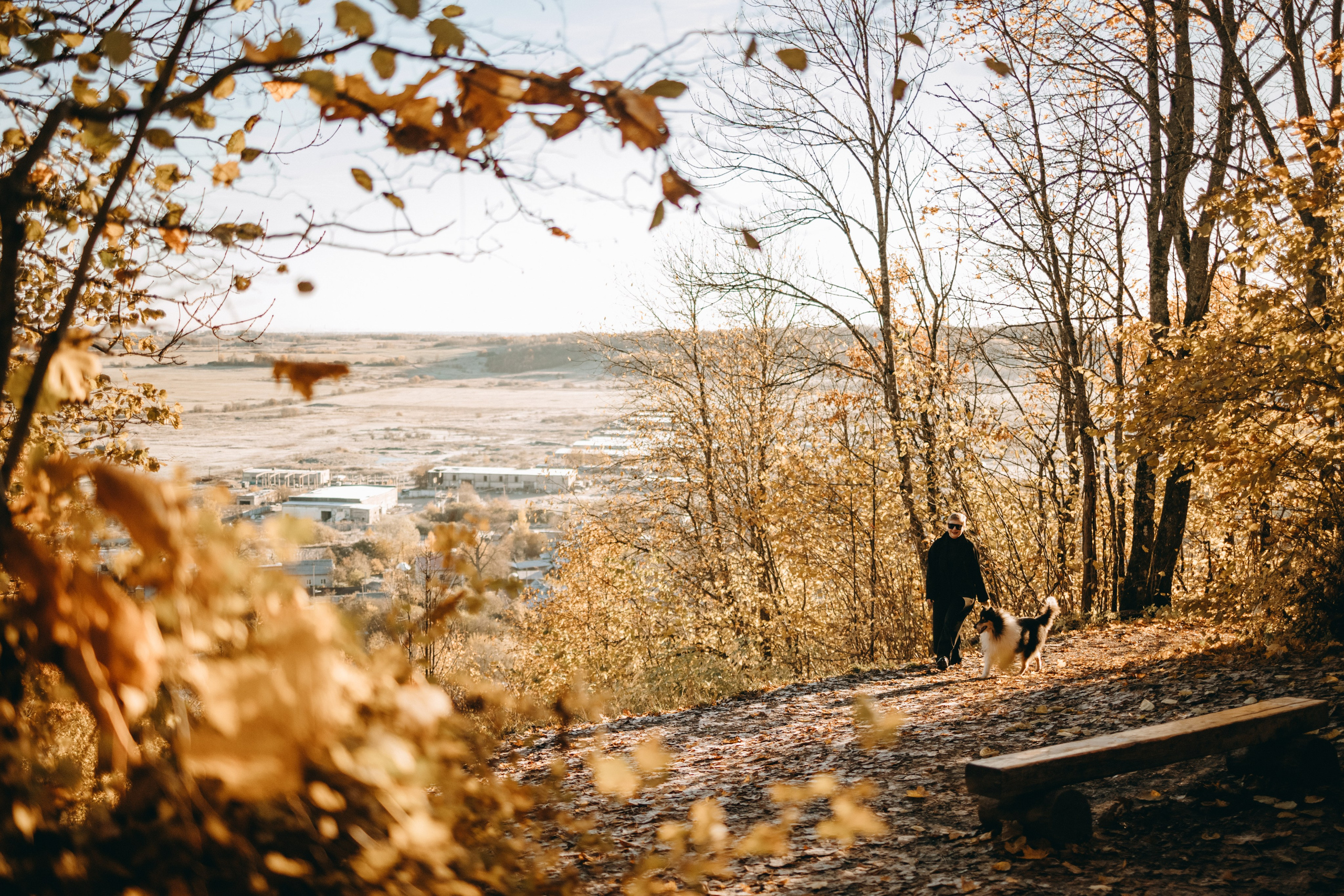 Ия и Барт. Фотограф — Анималист | Санкт-Петербург