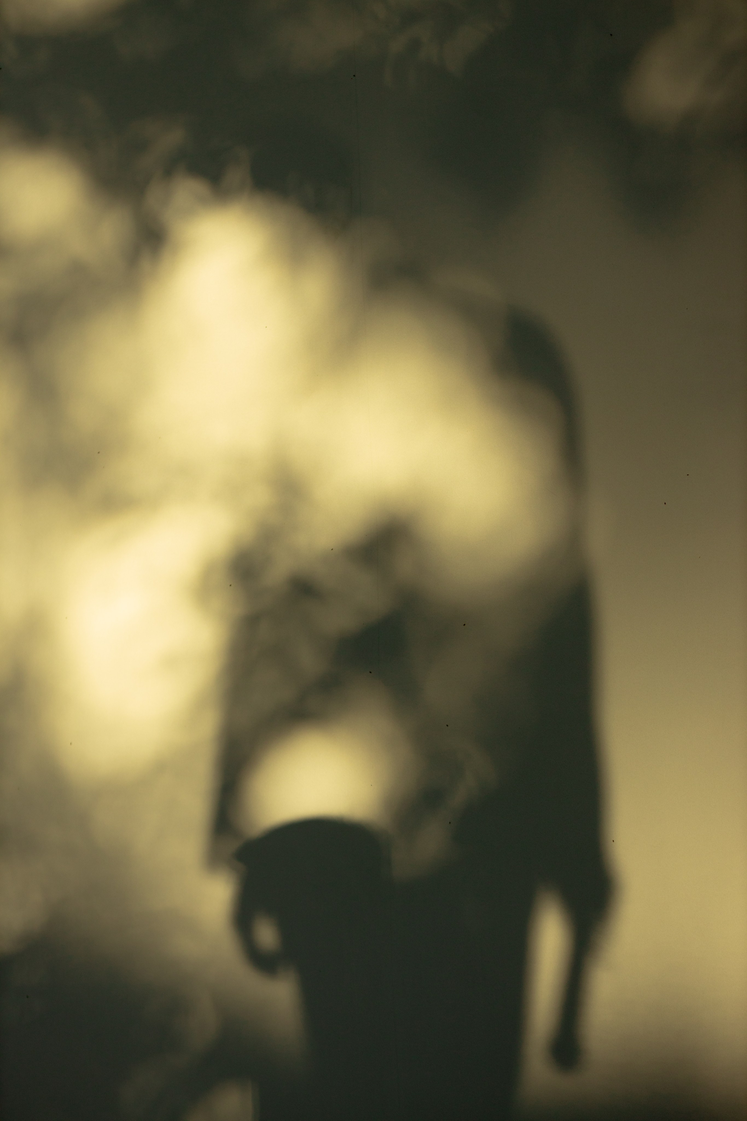 Сшиты на века. Свадебный фотограф. Краснодар, Сочи, Новороссийск. Вадим Мерье