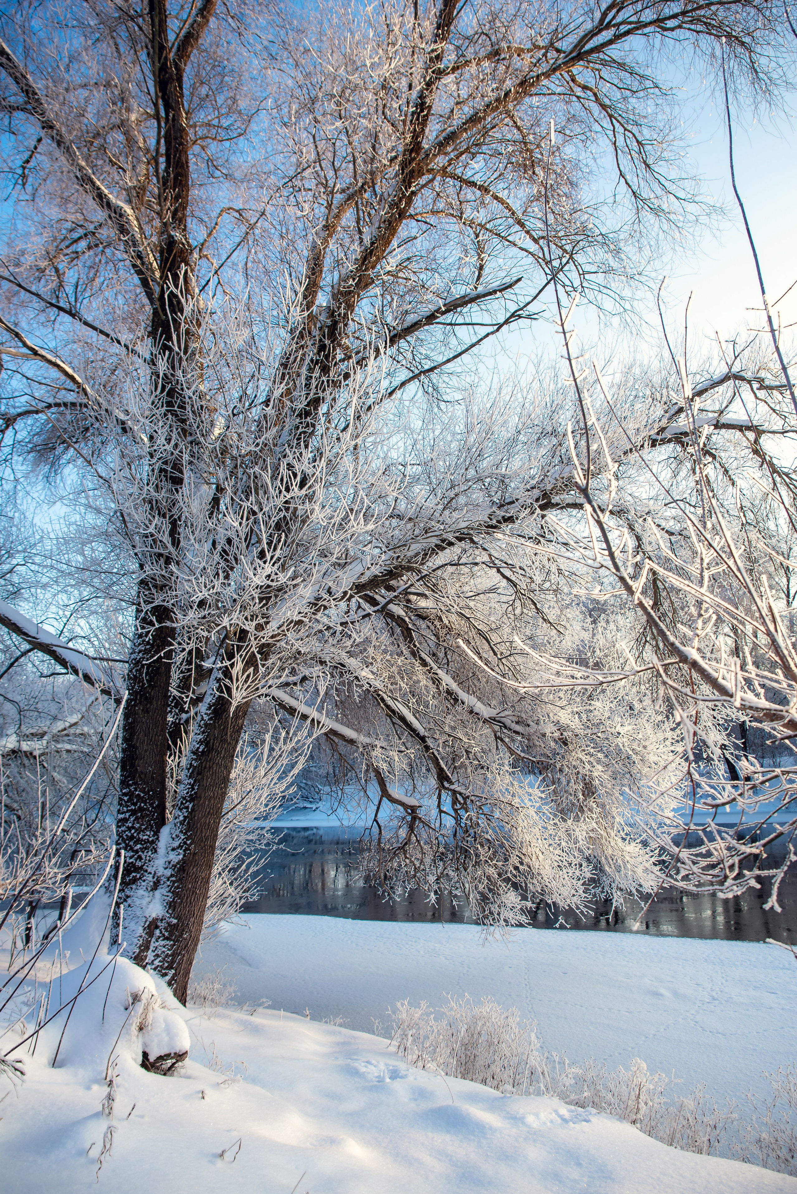 Зимушка зима. Фотограф Крещение Венчание Москва