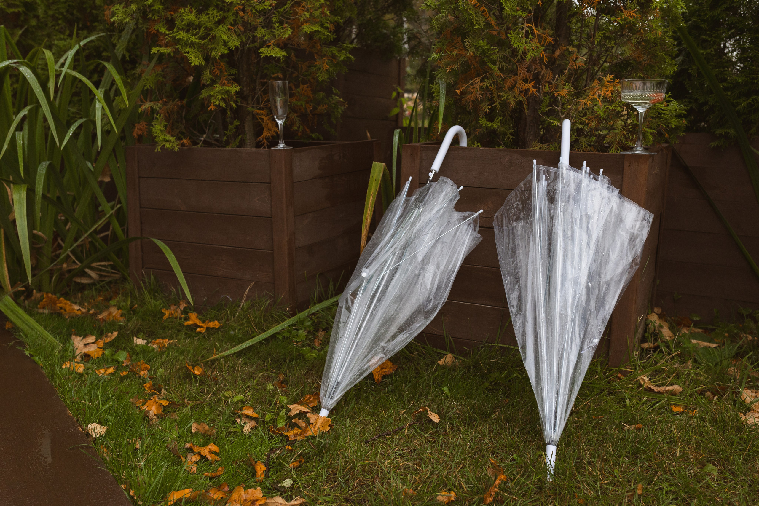Зеленоградский ЗАГС. Свадебный фотограф Курзина Ольга | Москва