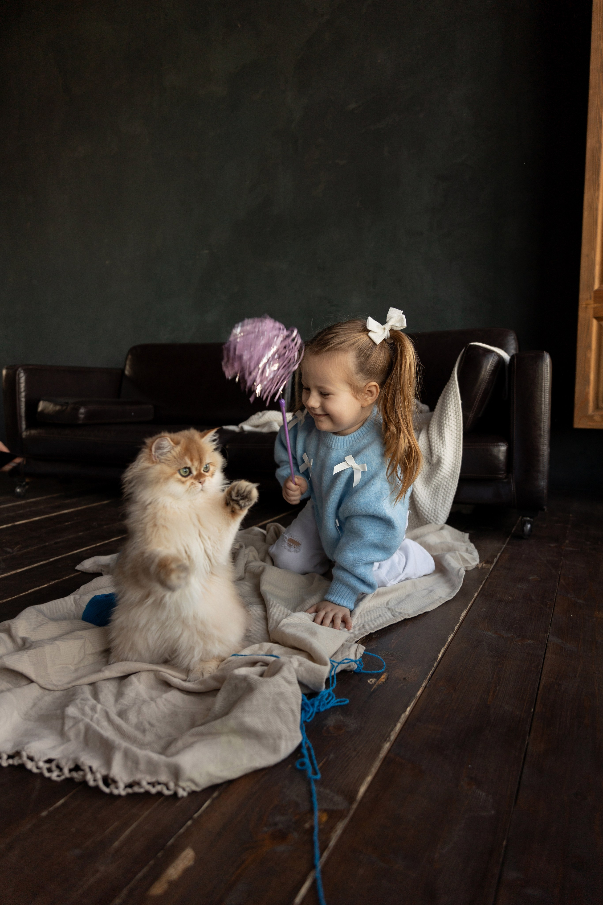 Фотосессия с котятами. Семейный и свадебный фотограф в Санкт-Петербурге Татьяна Швыкова