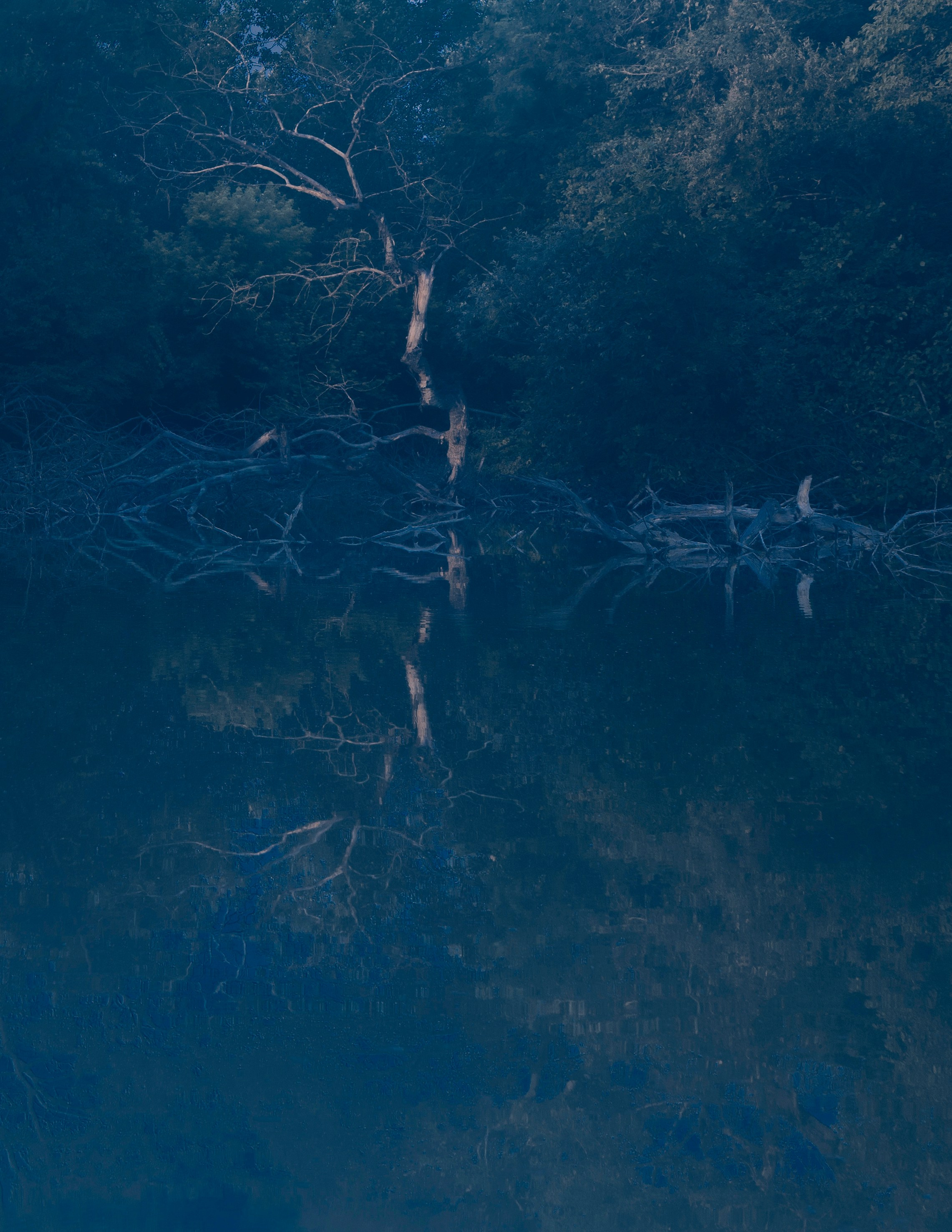 Свет рассыпается. Художественная фотография в Санкт-Петербурге Алина Берёзкина