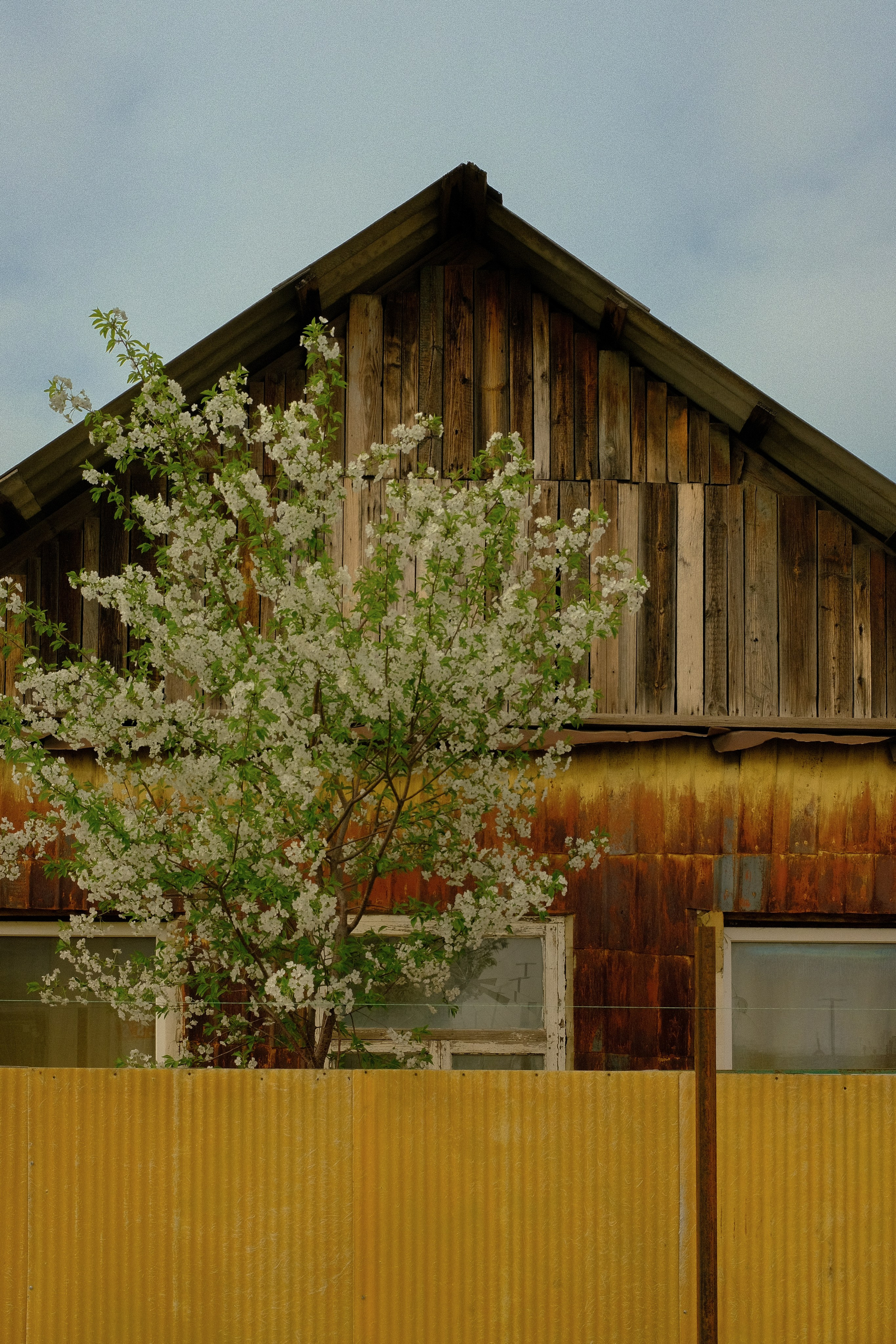 Krasnodar. Creative travel photographer — Berg Daria