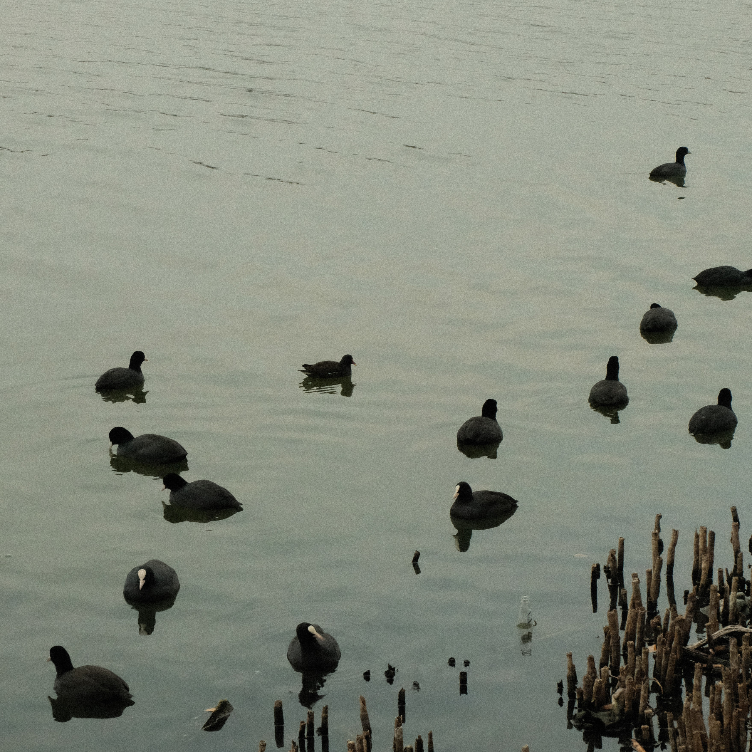 Krasnodar. Creative travel photographer — Berg Daria